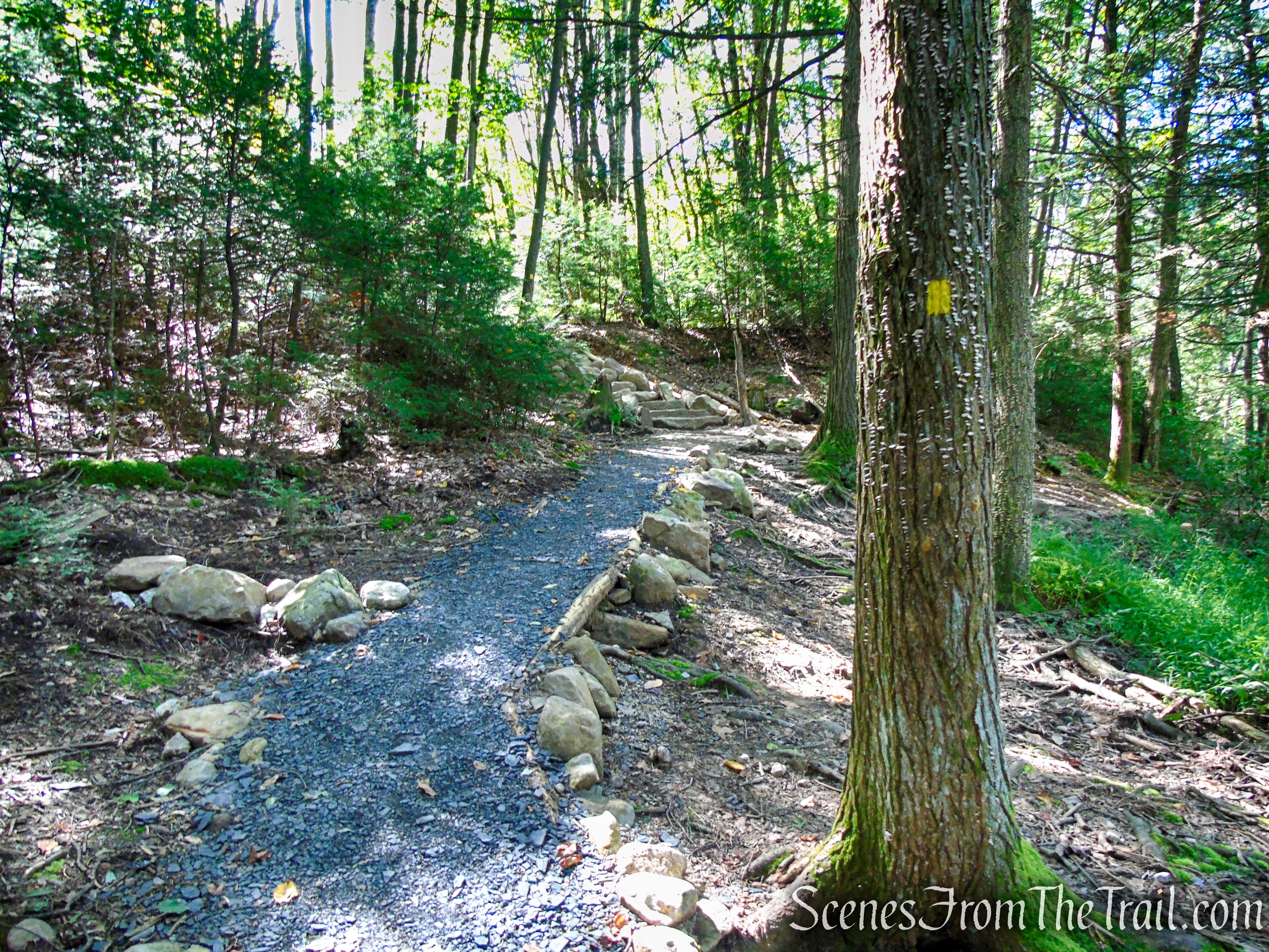 Yellow Connector Trail - Minnewaska State Park Preserve