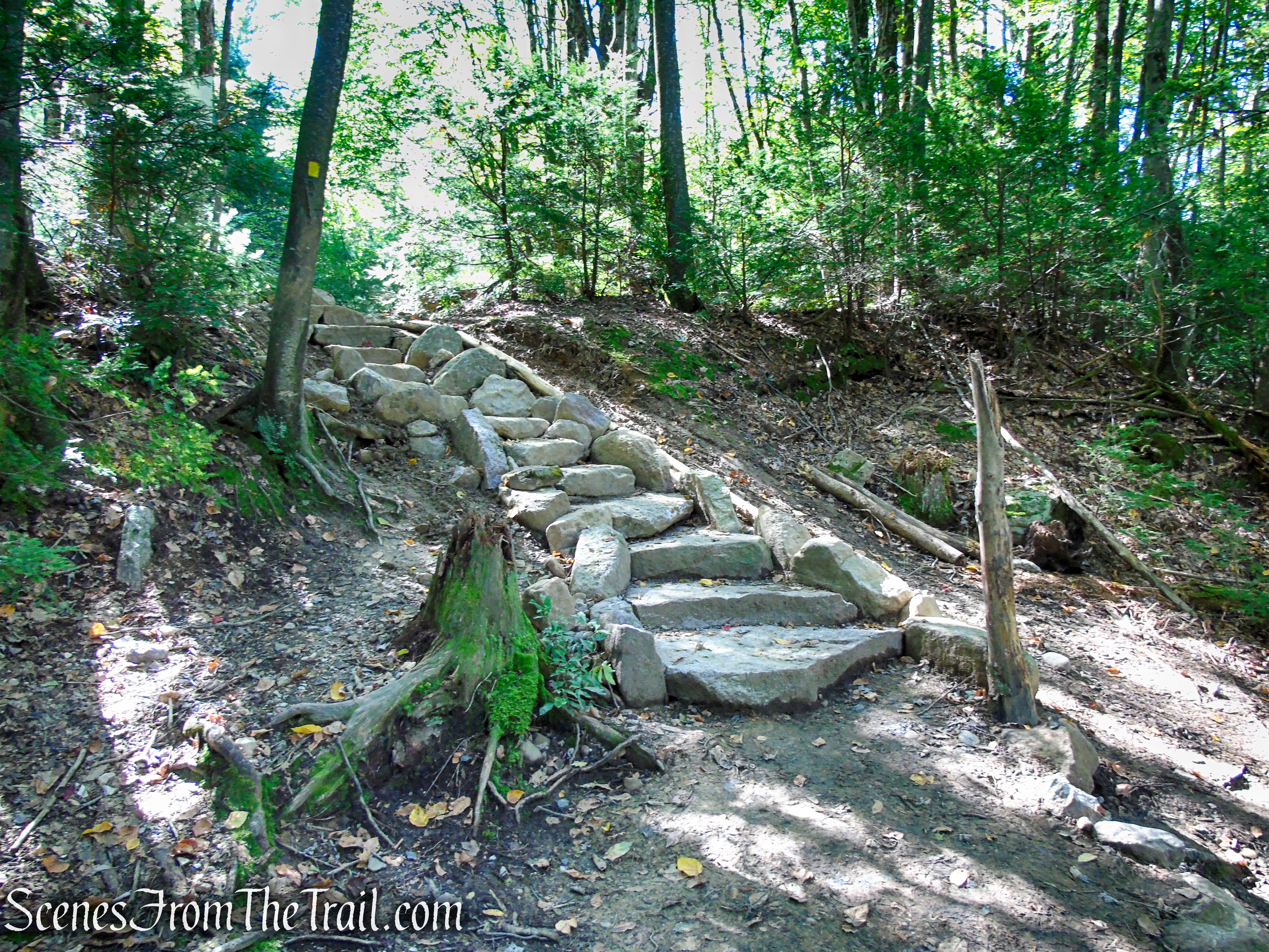Yellow Connector Trail - Minnewaska State Park Preserve