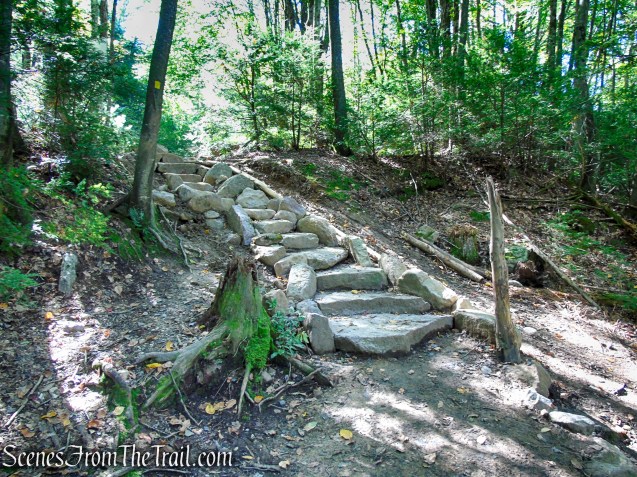 Yellow Connector Trail - Minnewaska State Park Preserve