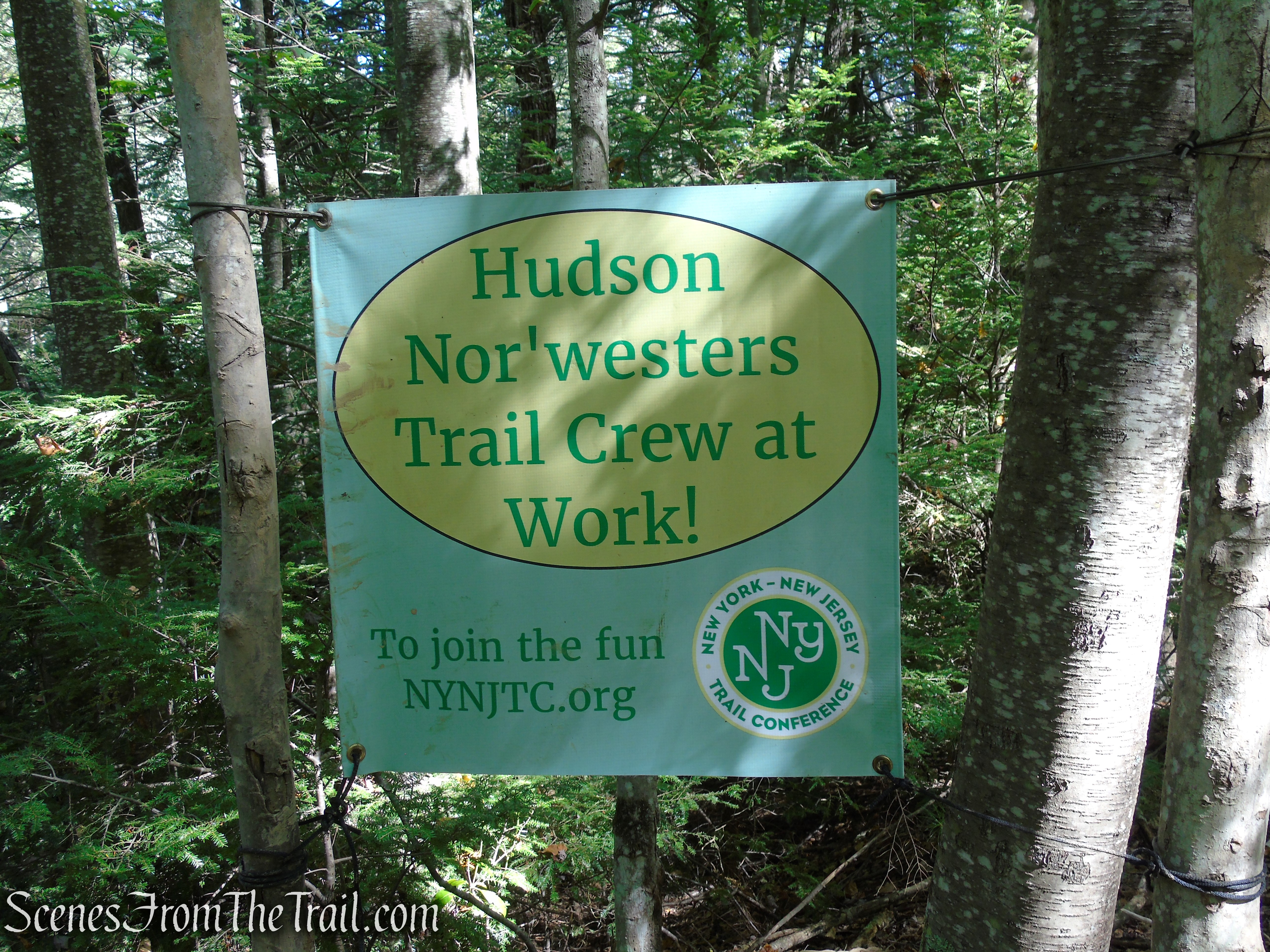 Yellow Connector Trail - Minnewaska State Park Preserve