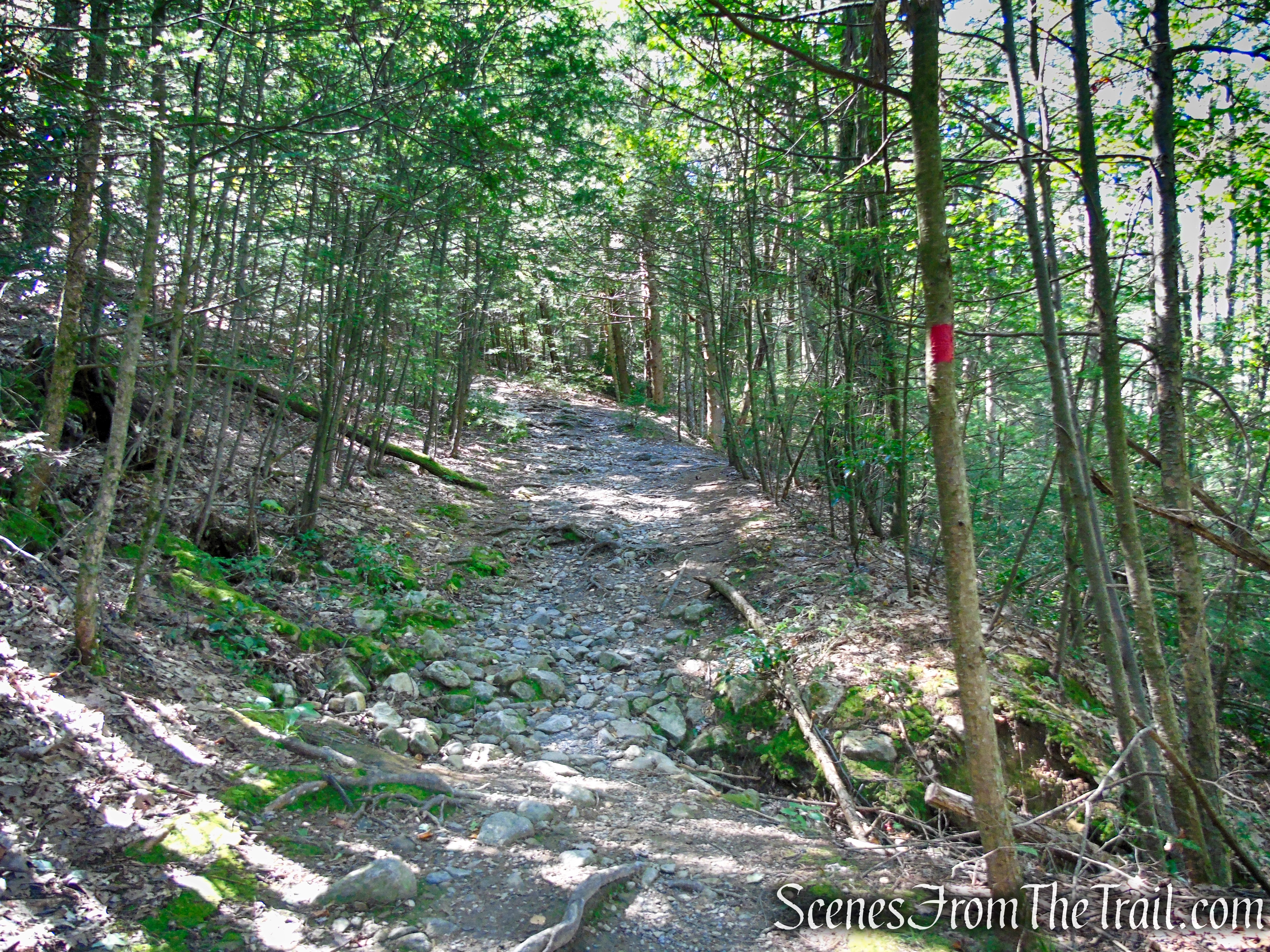 Red Loop Trail - Minnewaska State Park Preserve