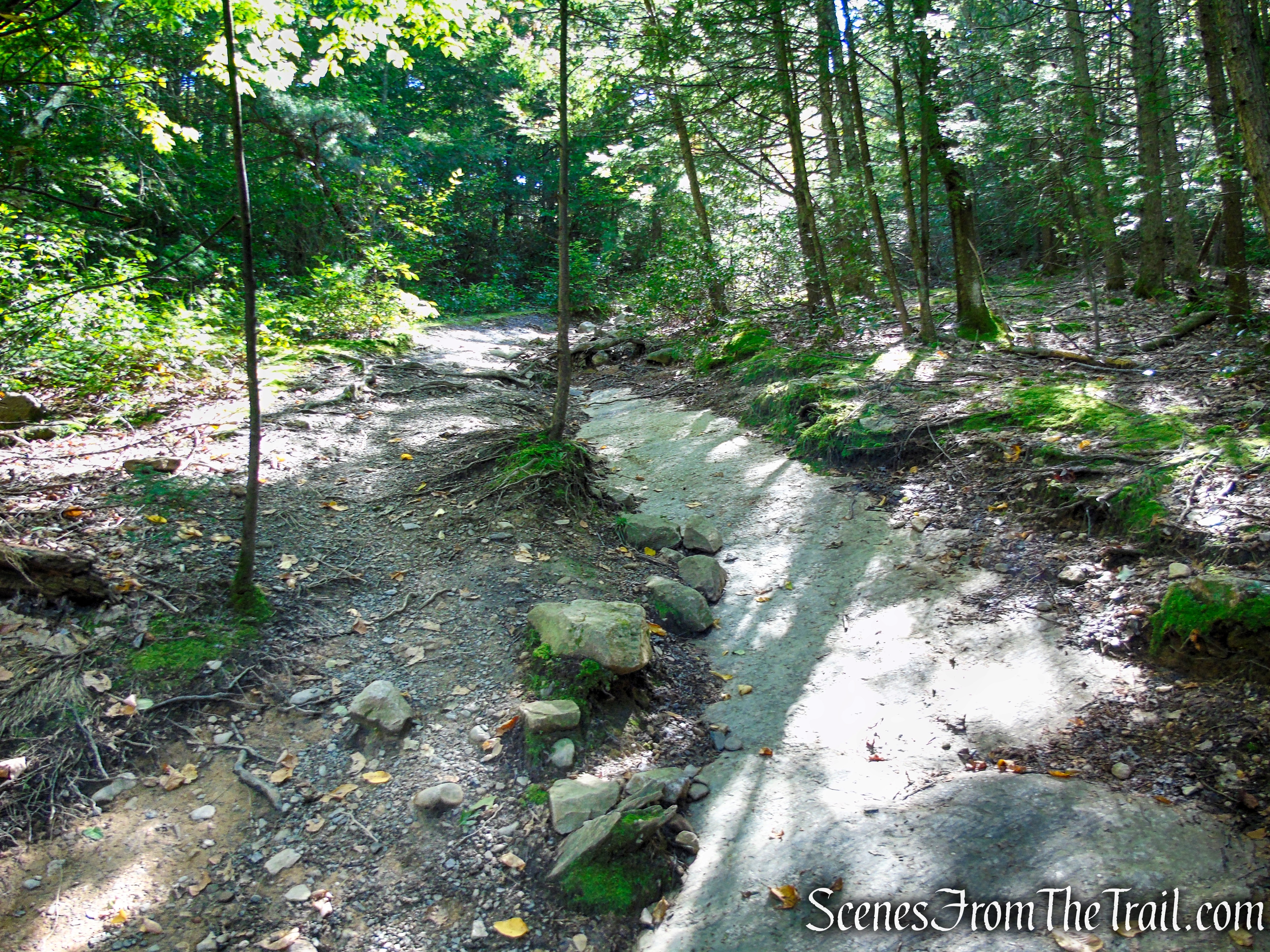 Red Loop Trail - Minnewaska State Park Preserve
