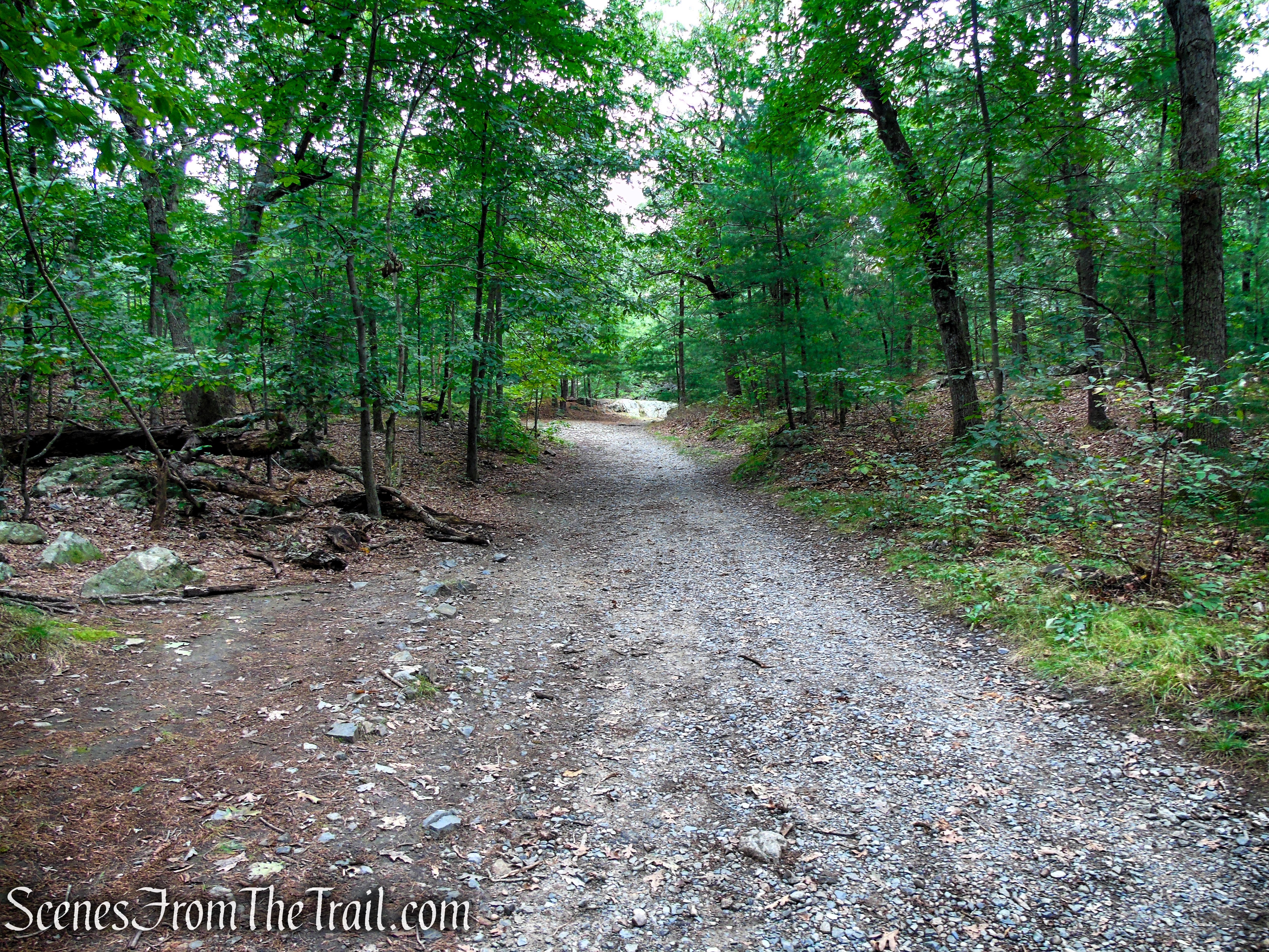 Middle Road - Middlesex Fells Reservation