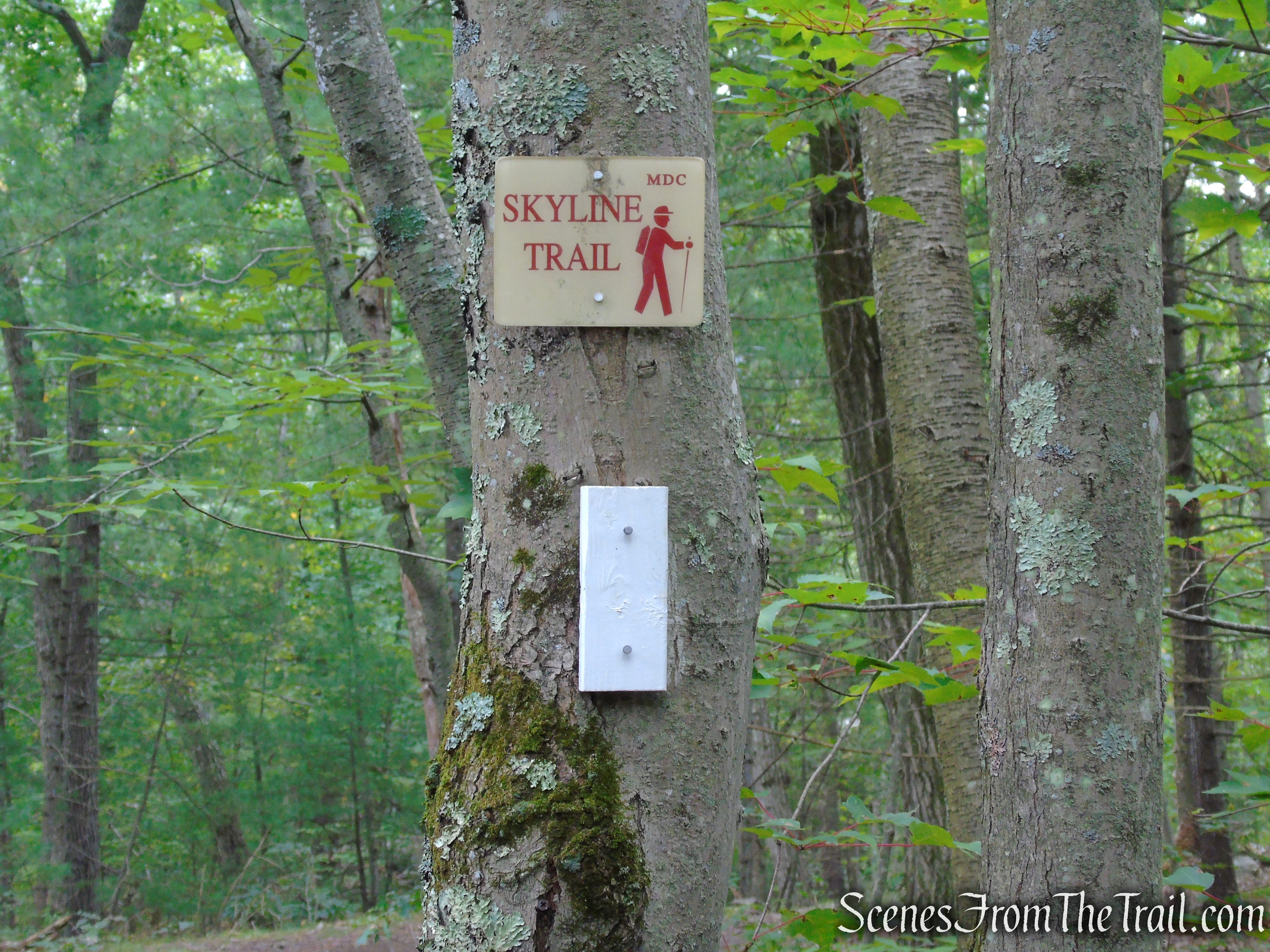 Skyline Trail - Middlesex Fells Reservation