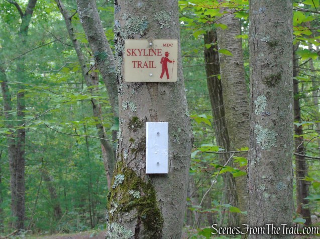 Skyline Trail - Middlesex Fells Reservation