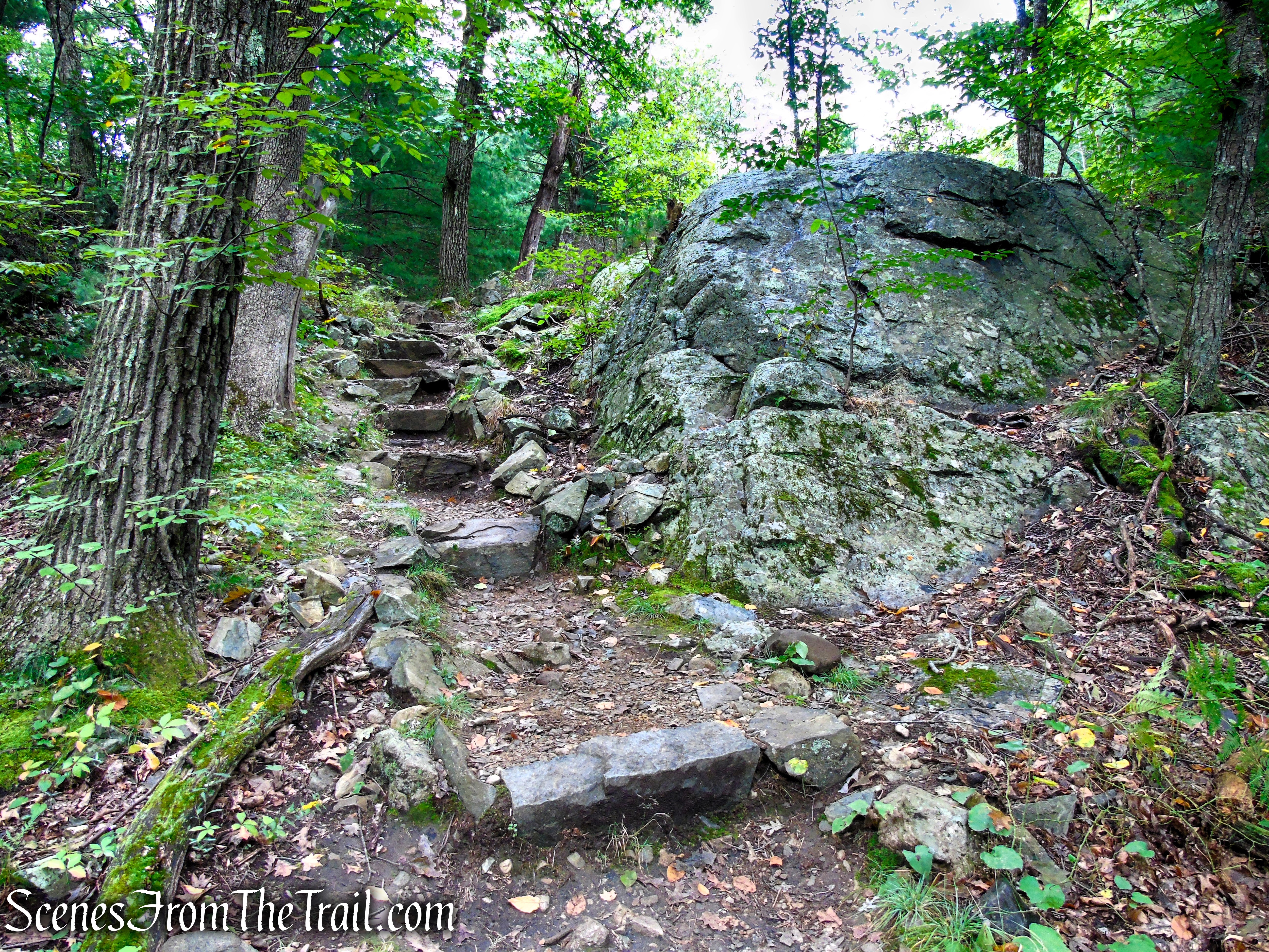 Skyline Trail - Middlesex Fells Reservation