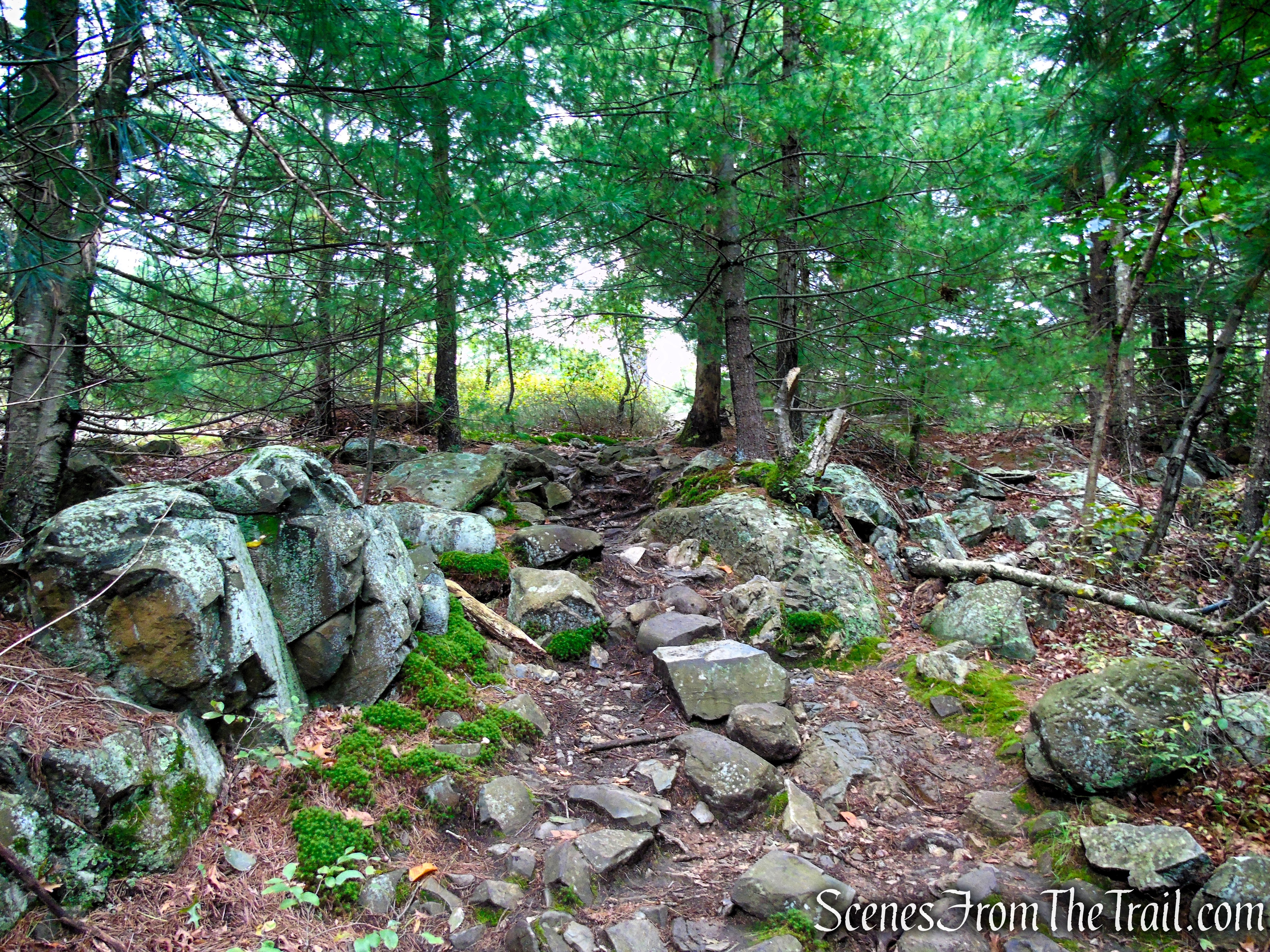 Skyline Trail - Middlesex Fells Reservation