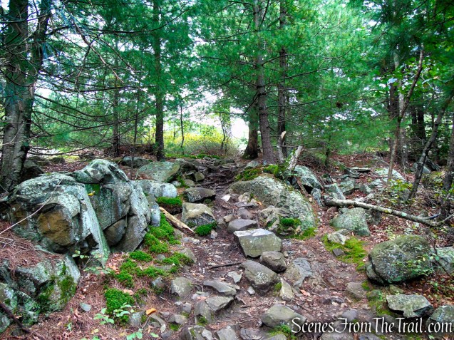 Skyline Trail - Middlesex Fells Reservation
