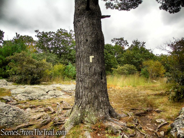 Skyline Trail - Middlesex Fells Reservation