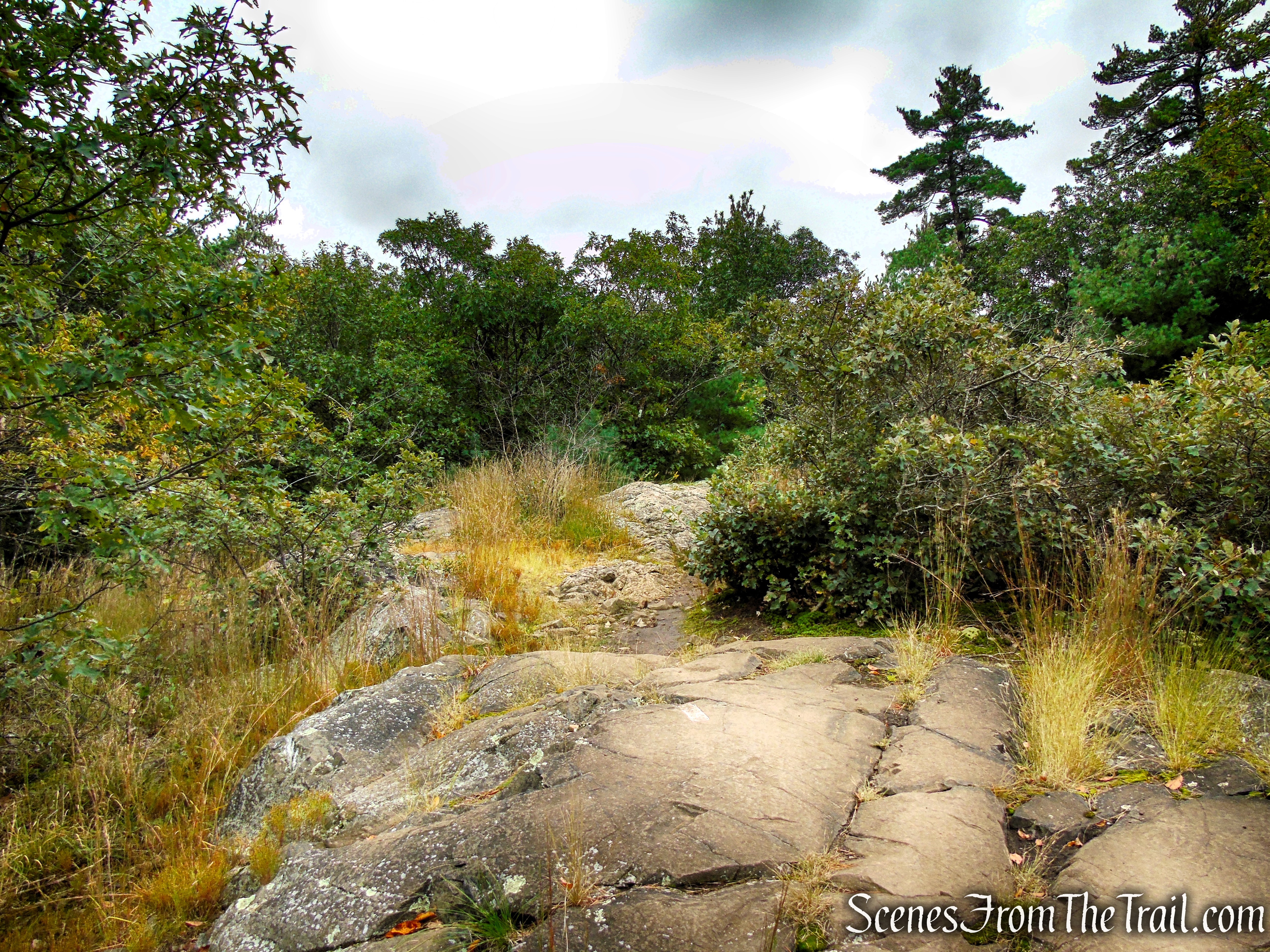 Skyline Trail - Middlesex Fells Reservation