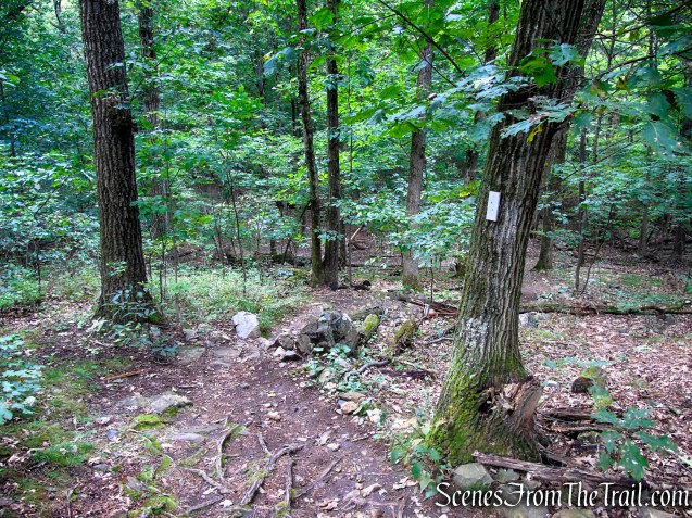 Skyline Trail - Middlesex Fells Reservation