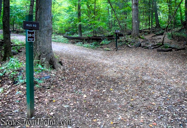 Skyline Trail as it crosses Quarry Road