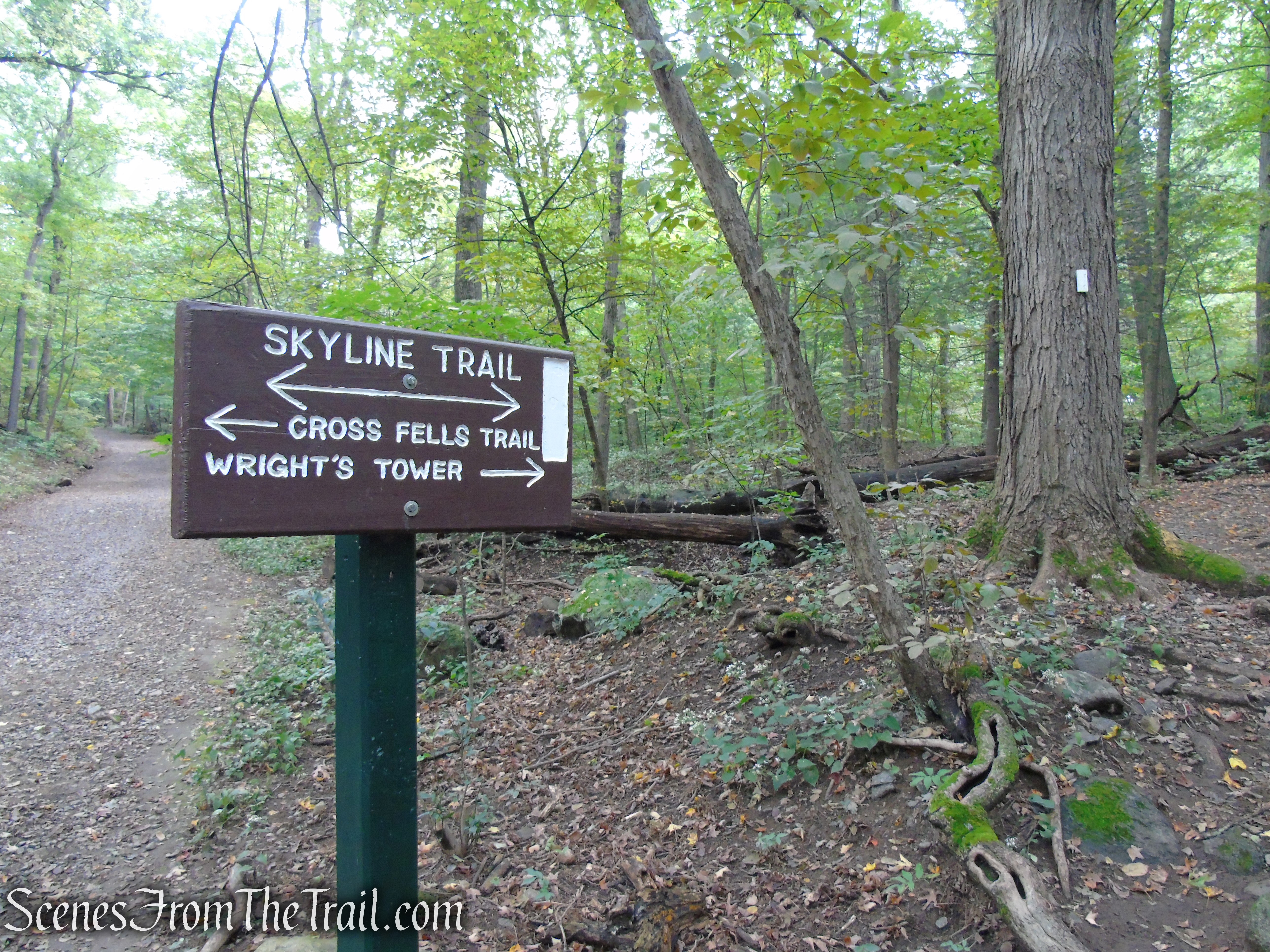 Skyline Trail as it crosses Mud Road
