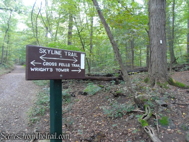Skyline Trail as it crosses Mud Road