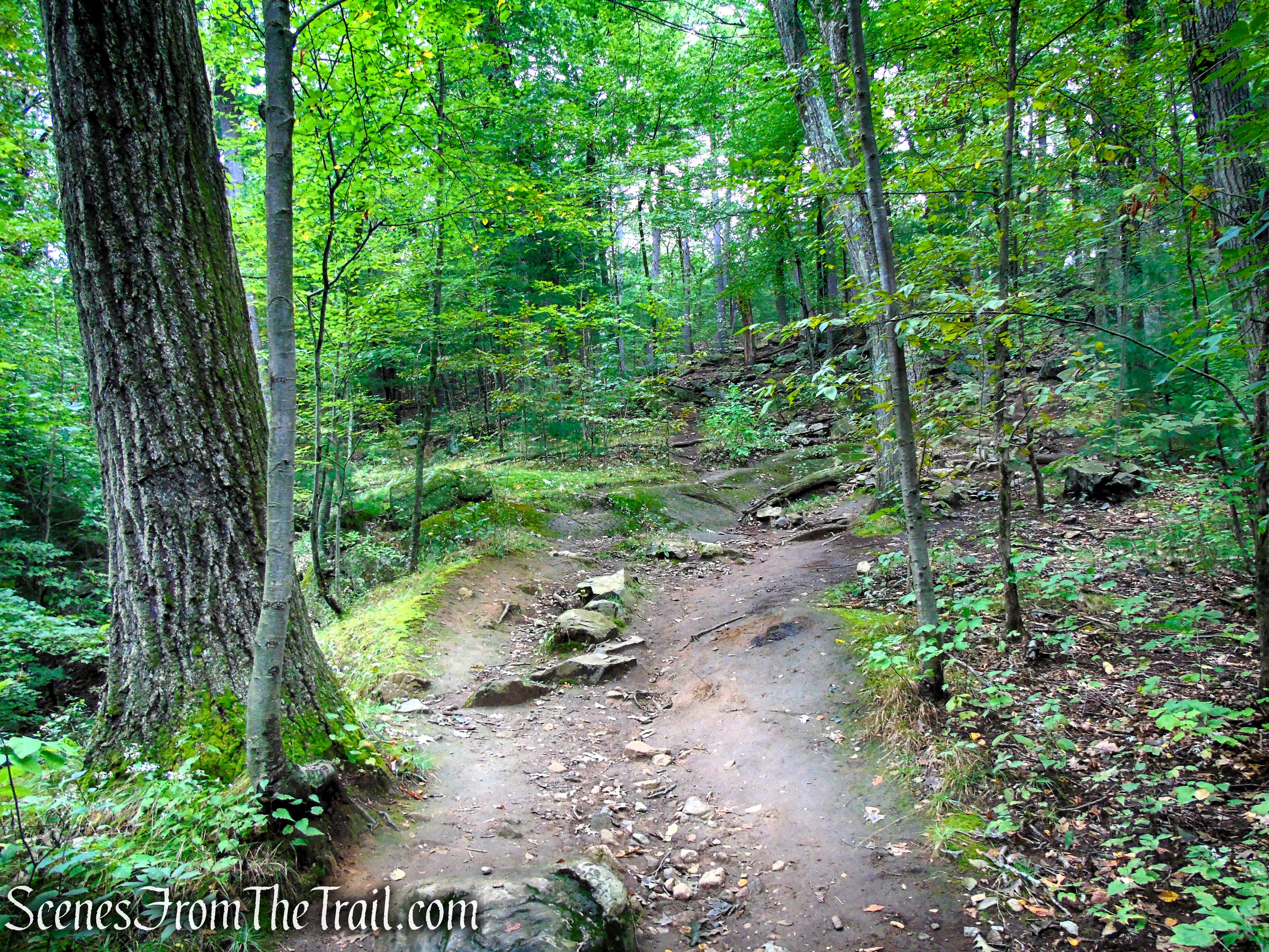 Skyline Trail - Middlesex Fells Reservation