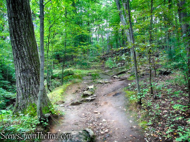 Skyline Trail - Middlesex Fells Reservation