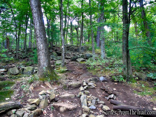 Skyline Trail - Middlesex Fells Reservation