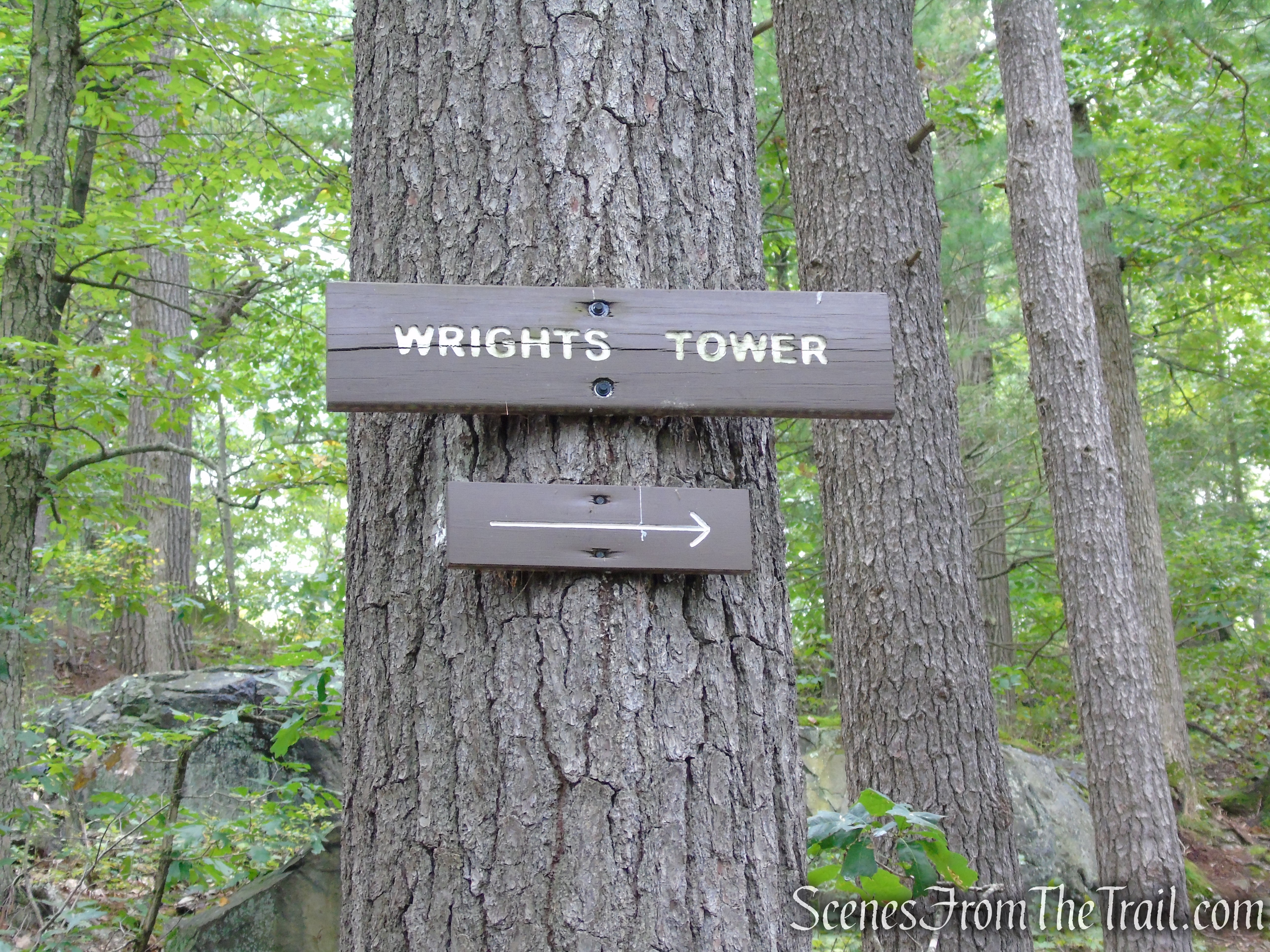 Skyline Trail - Middlesex Fells Reservation