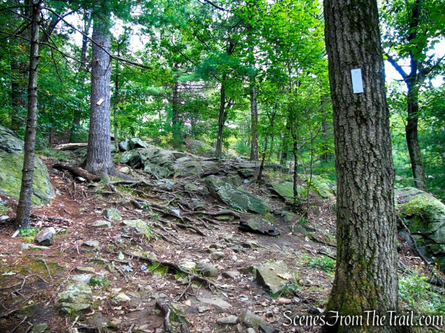 Skyline Trail - Middlesex Fells Reservation