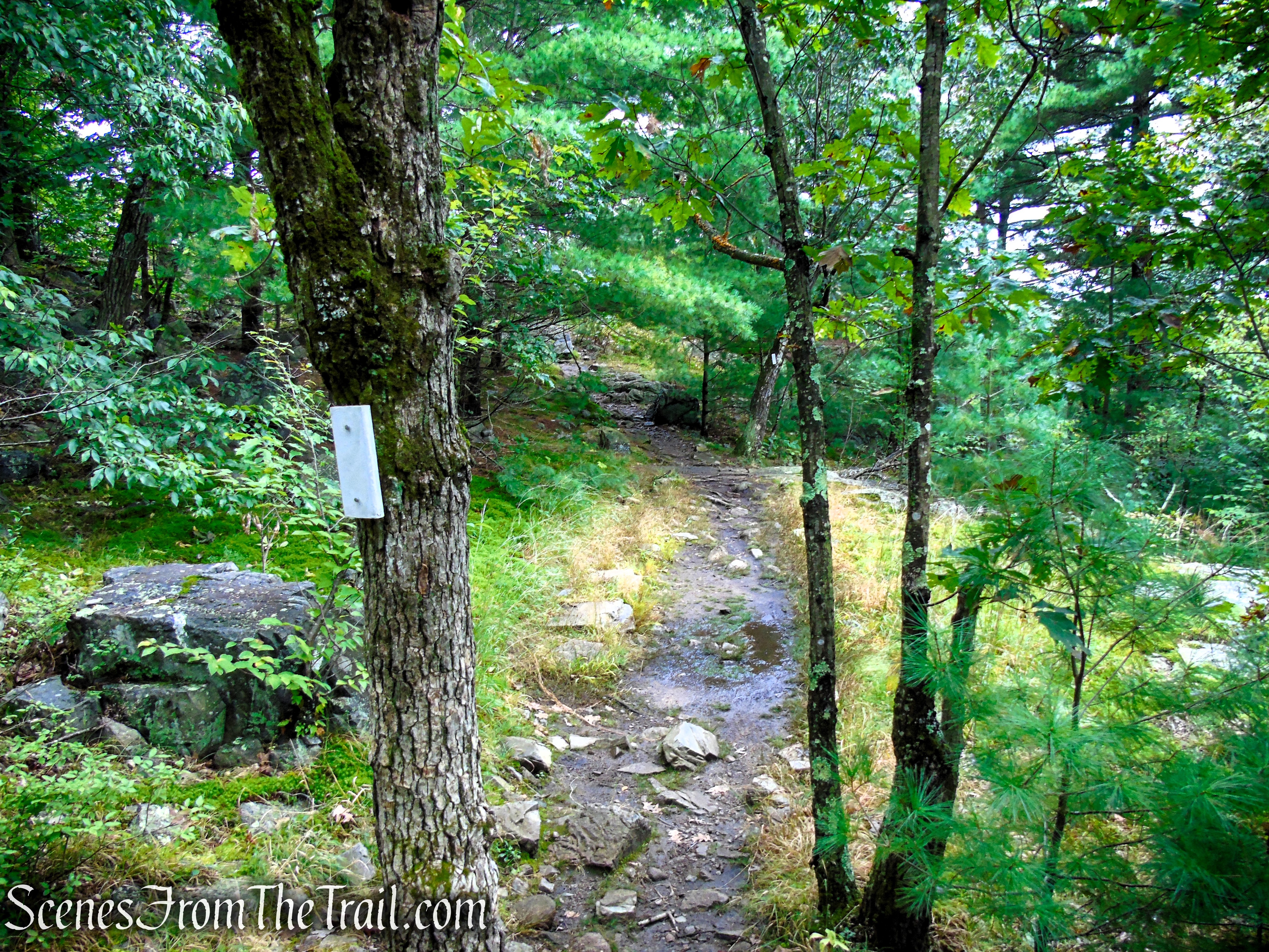 Skyline Trail - Middlesex Fells Reservation