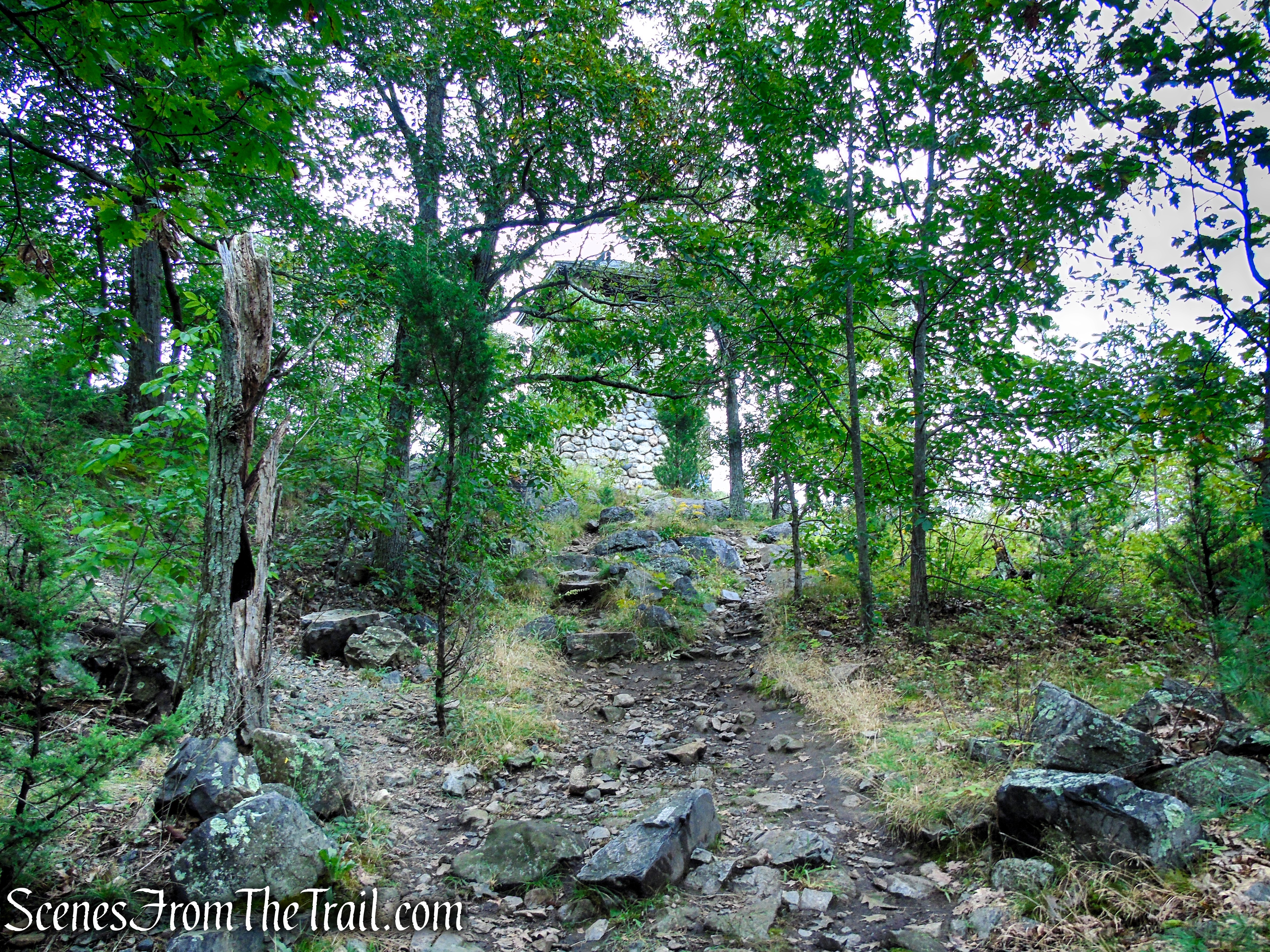 Skyline Trail - Middlesex Fells Reservation