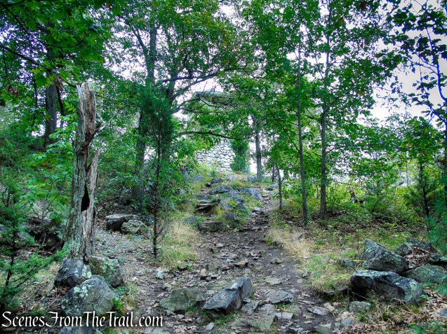 Skyline Trail - Middlesex Fells Reservation