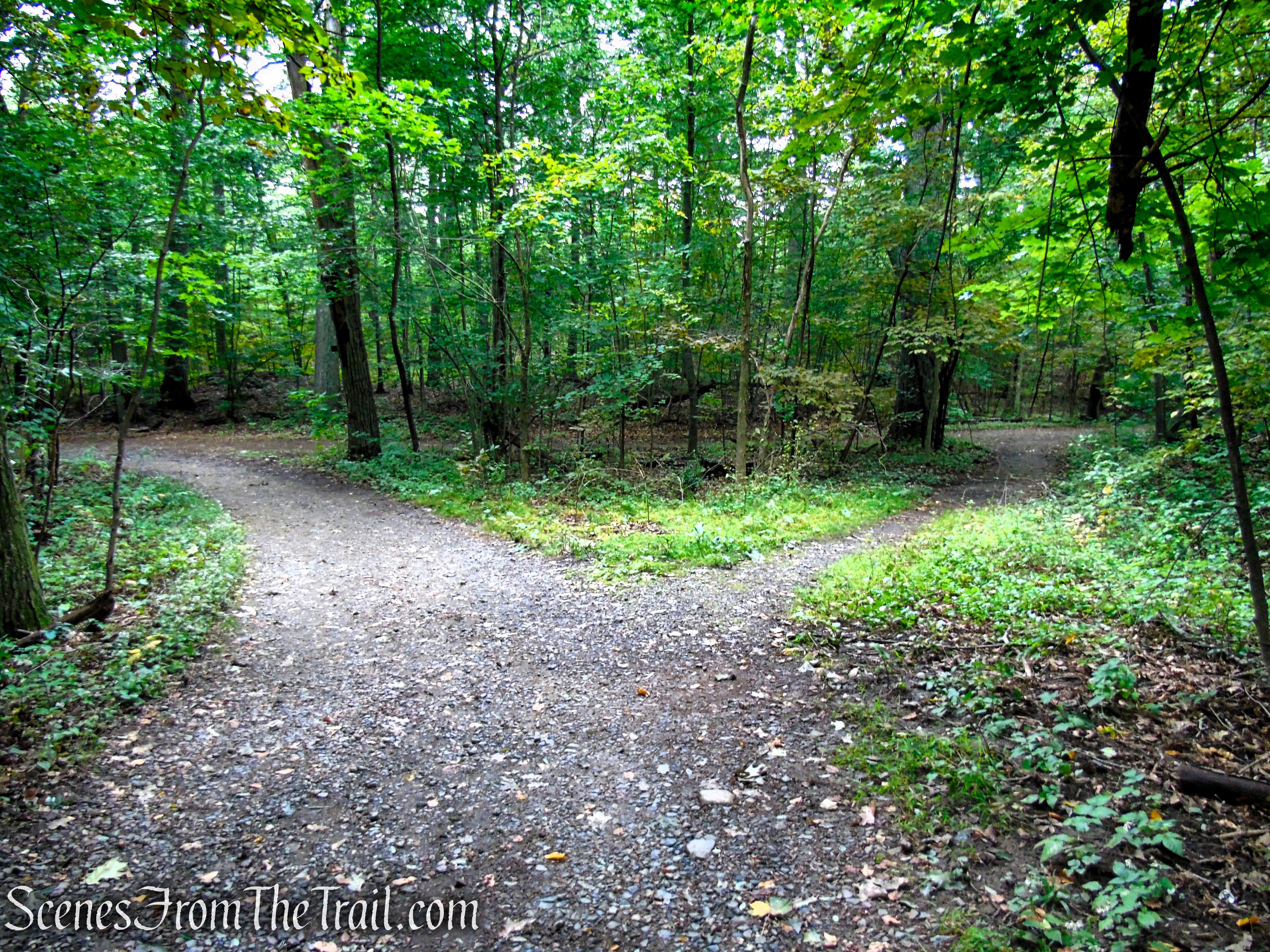 Turn left at the fork