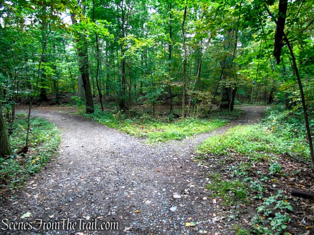 Turn left at the fork