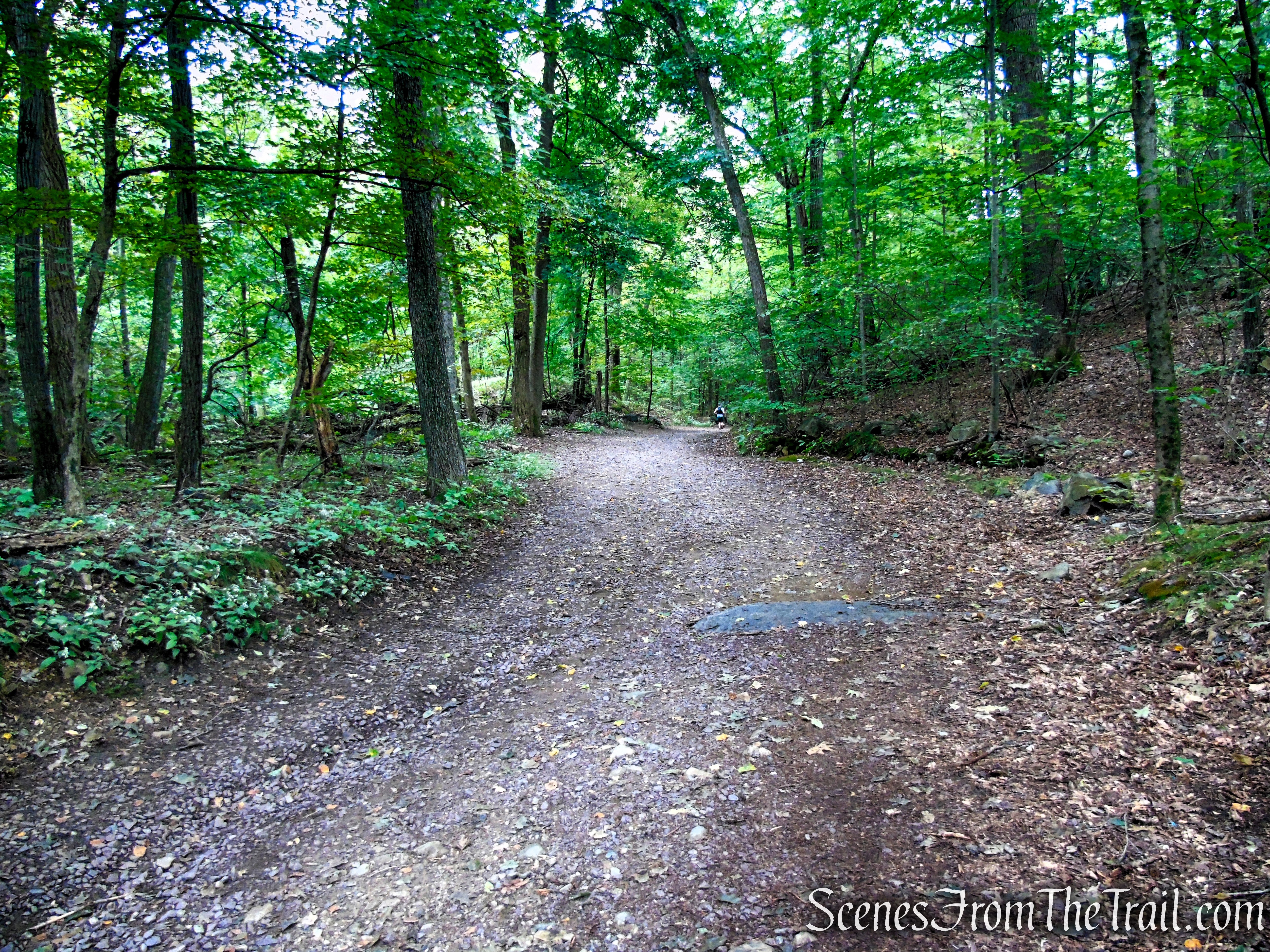 Quarry Road - Middlesex Fells Reservation