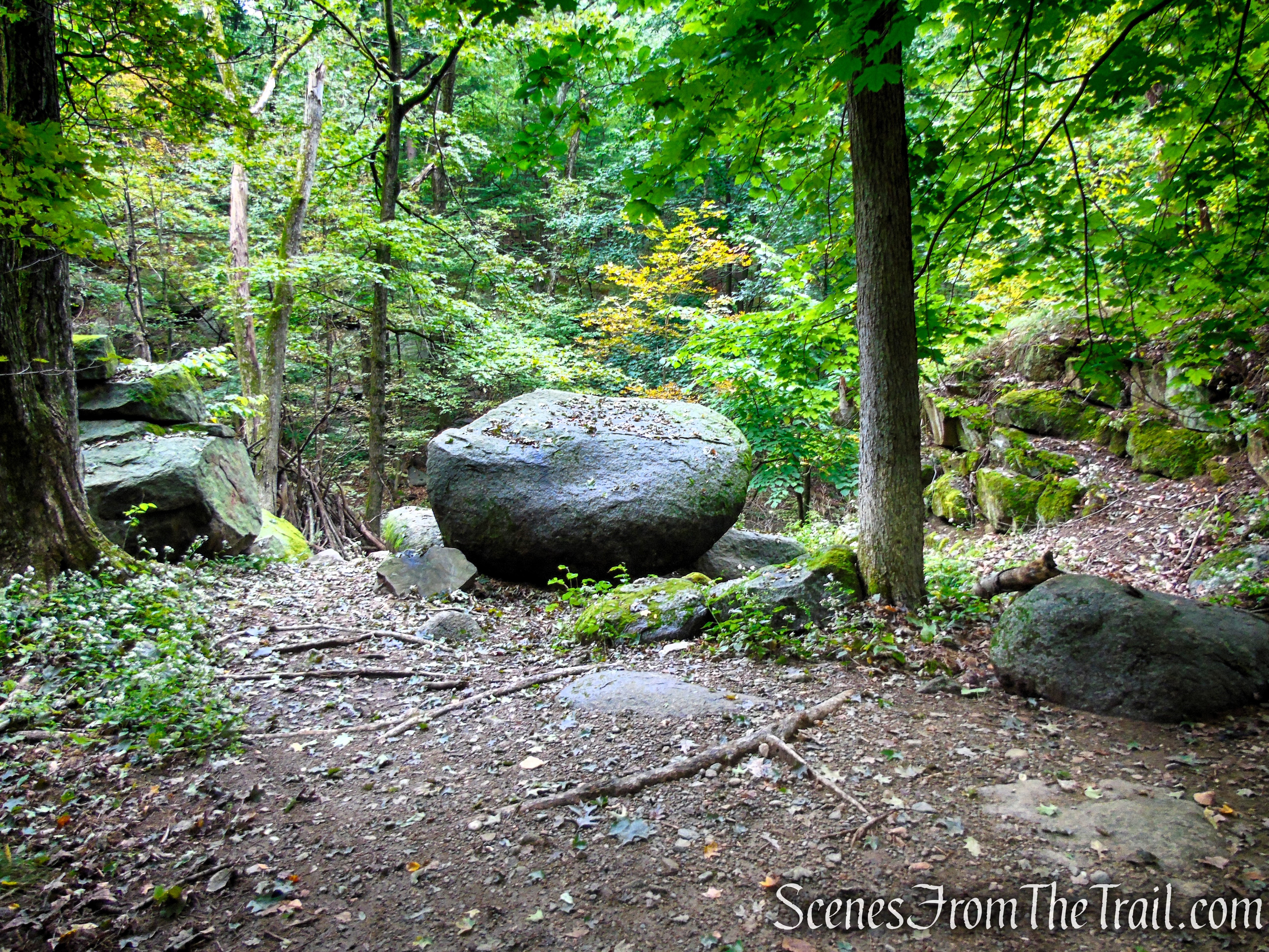 Quarry Road - Middlesex Fells Reservation