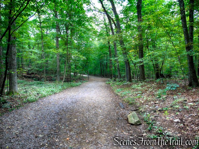 Quarry Road - Middlesex Fells Reservation