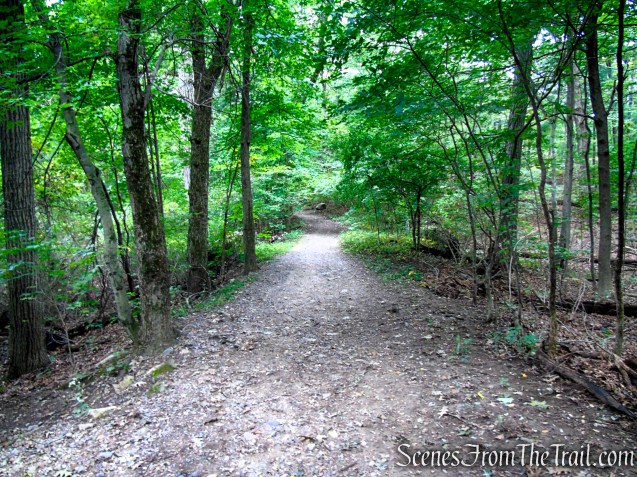 Unnamed woods road - Middlesex Fells Reservation