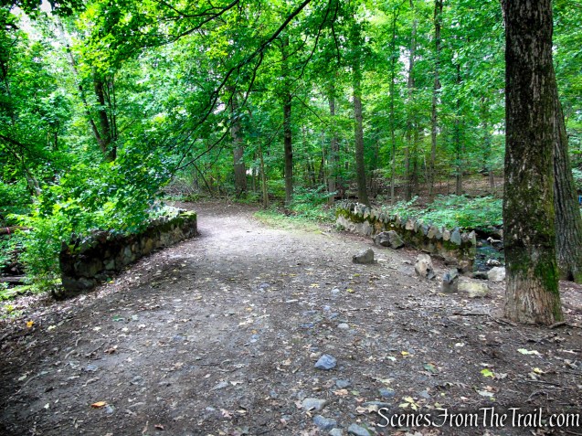 Unnamed woods road - Middlesex Fells Reservation
