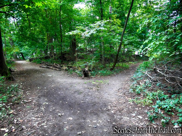 Turn right at the fork