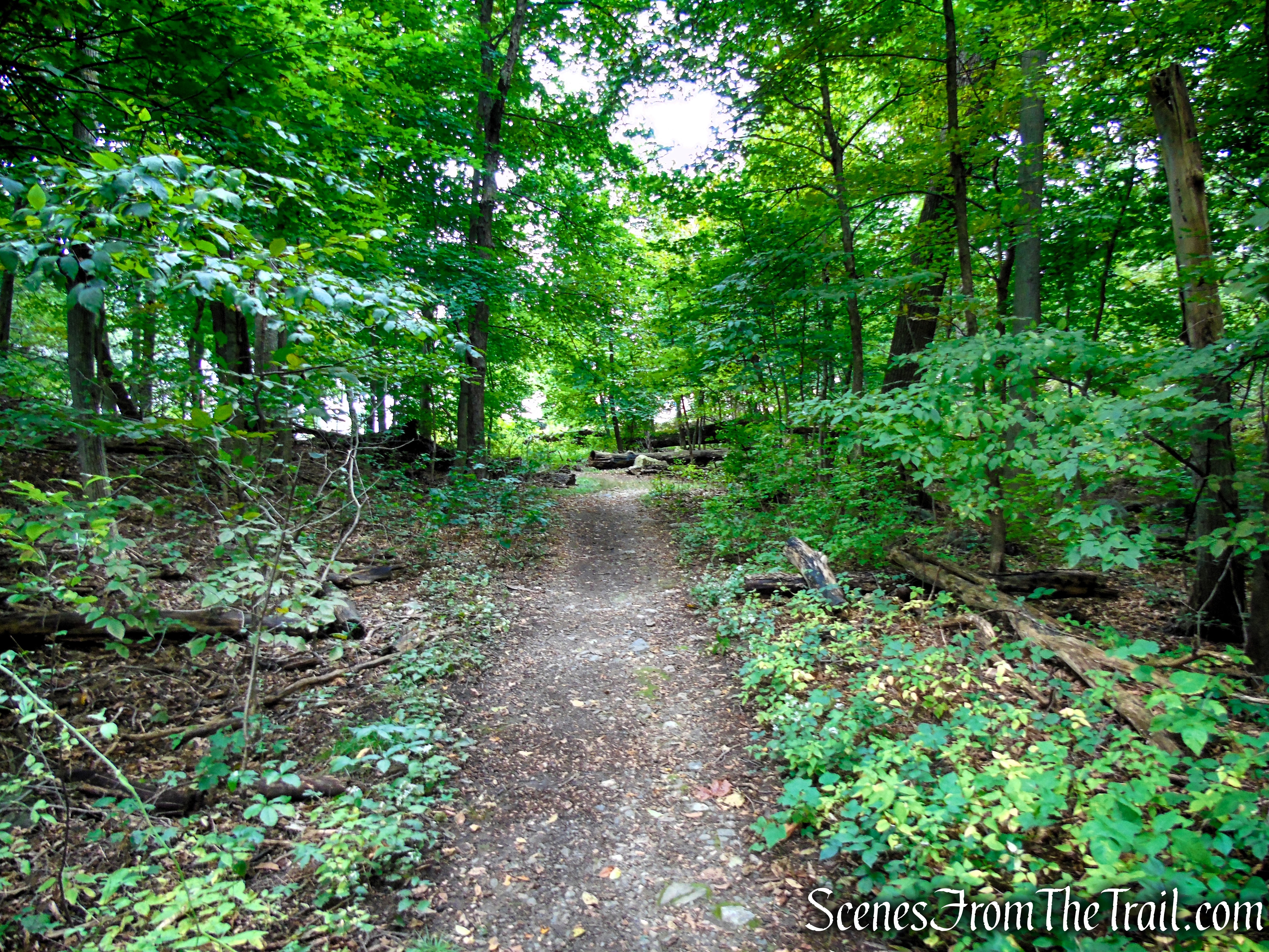 Unmarked connector trail - Middlesex Fells Reservation