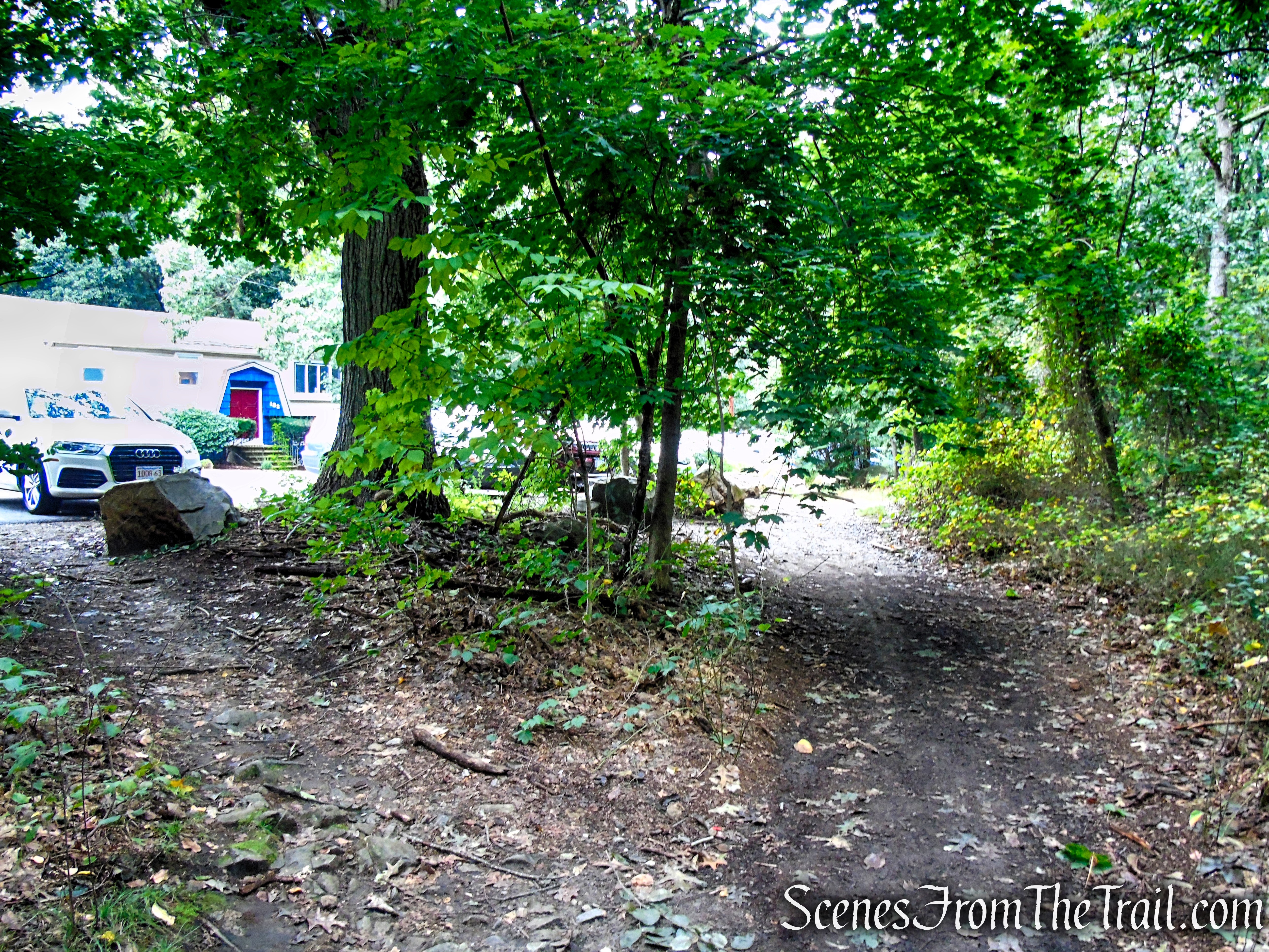 Unmarked connector trail - Middlesex Fells Reservation