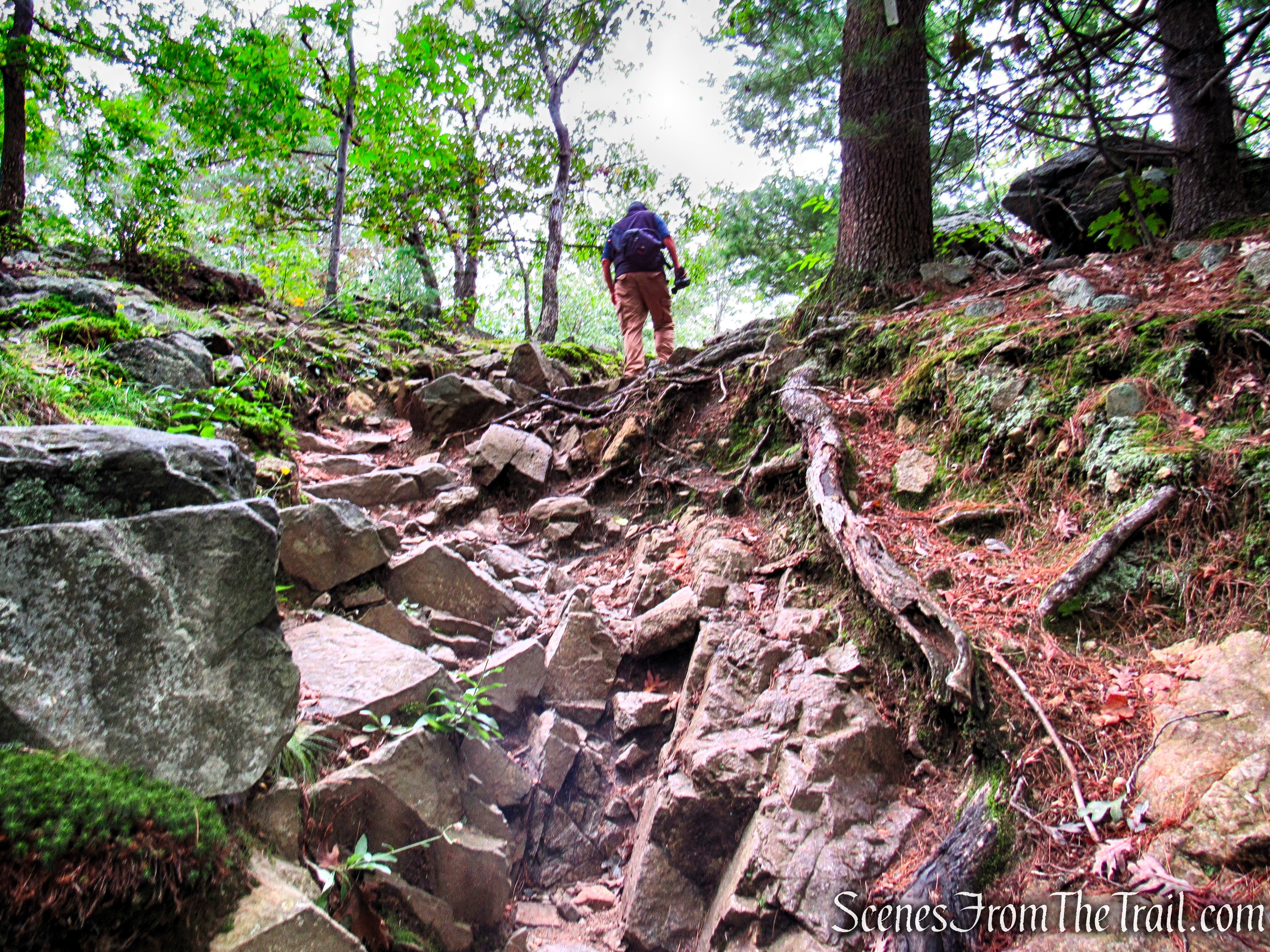 Climbing to the top of Panther Cave