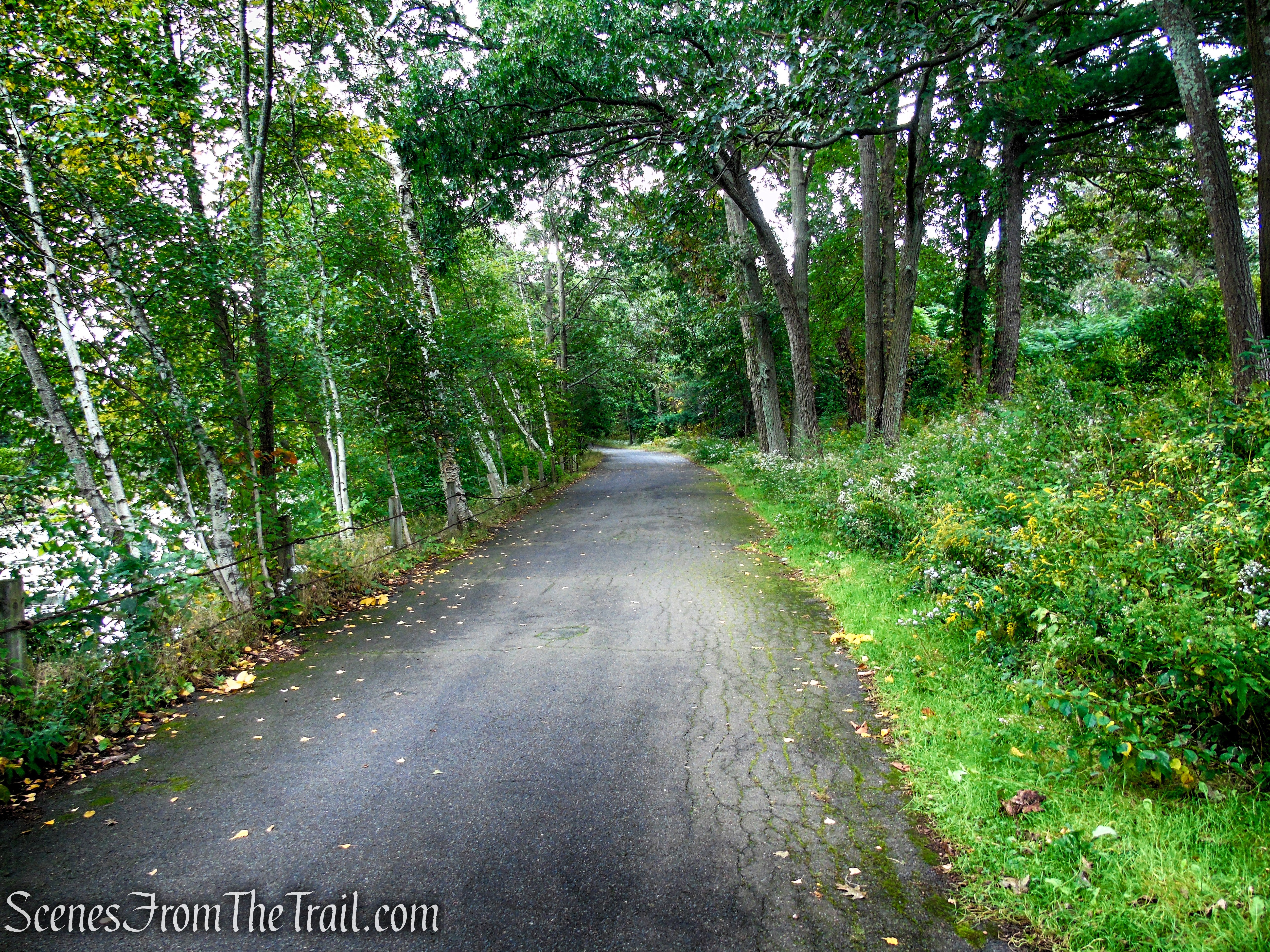 Paved Road - Mount Hood Memorial Park & Golf Course