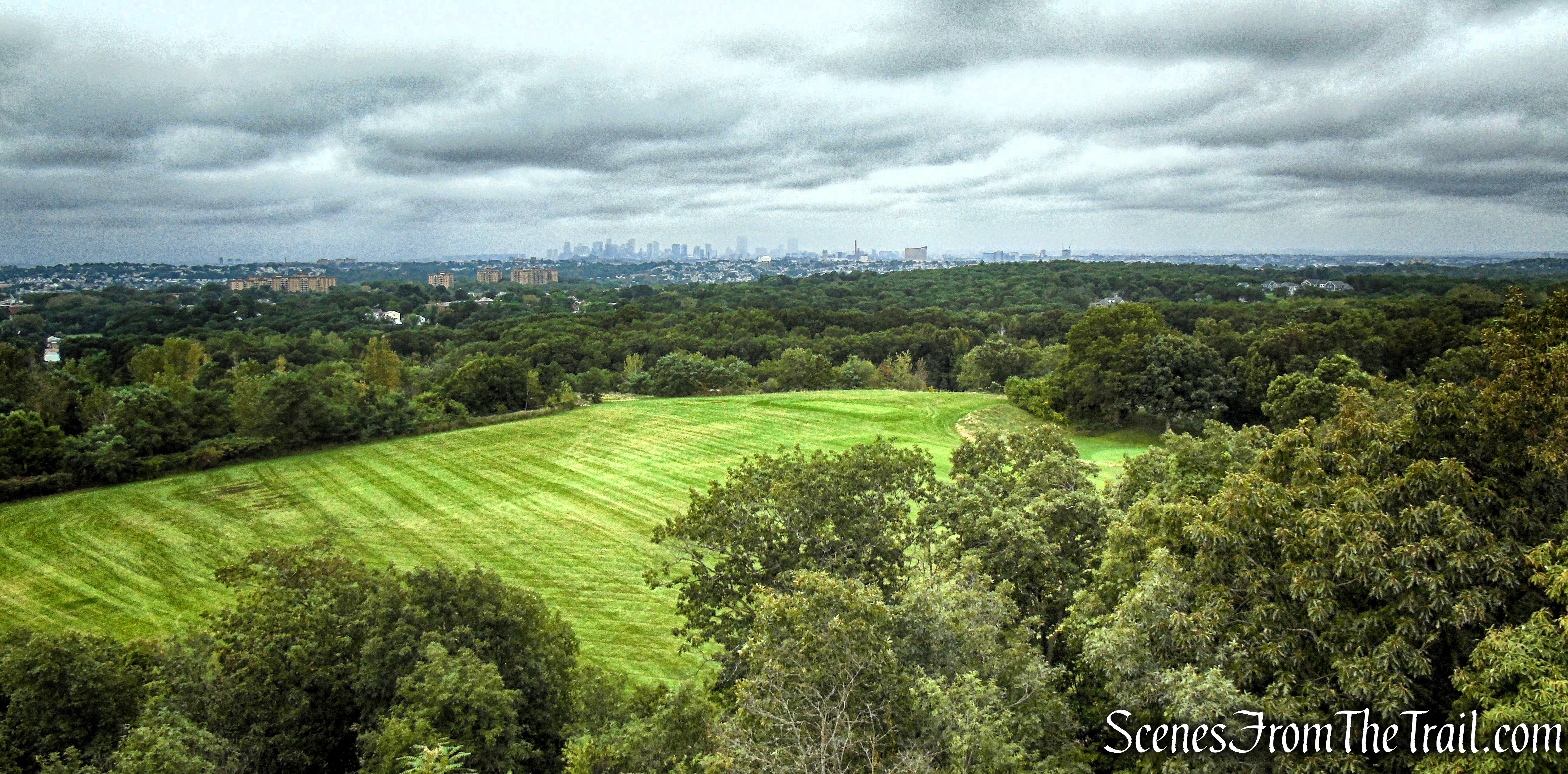 Boston skyline from Slayton Memorial Tower
