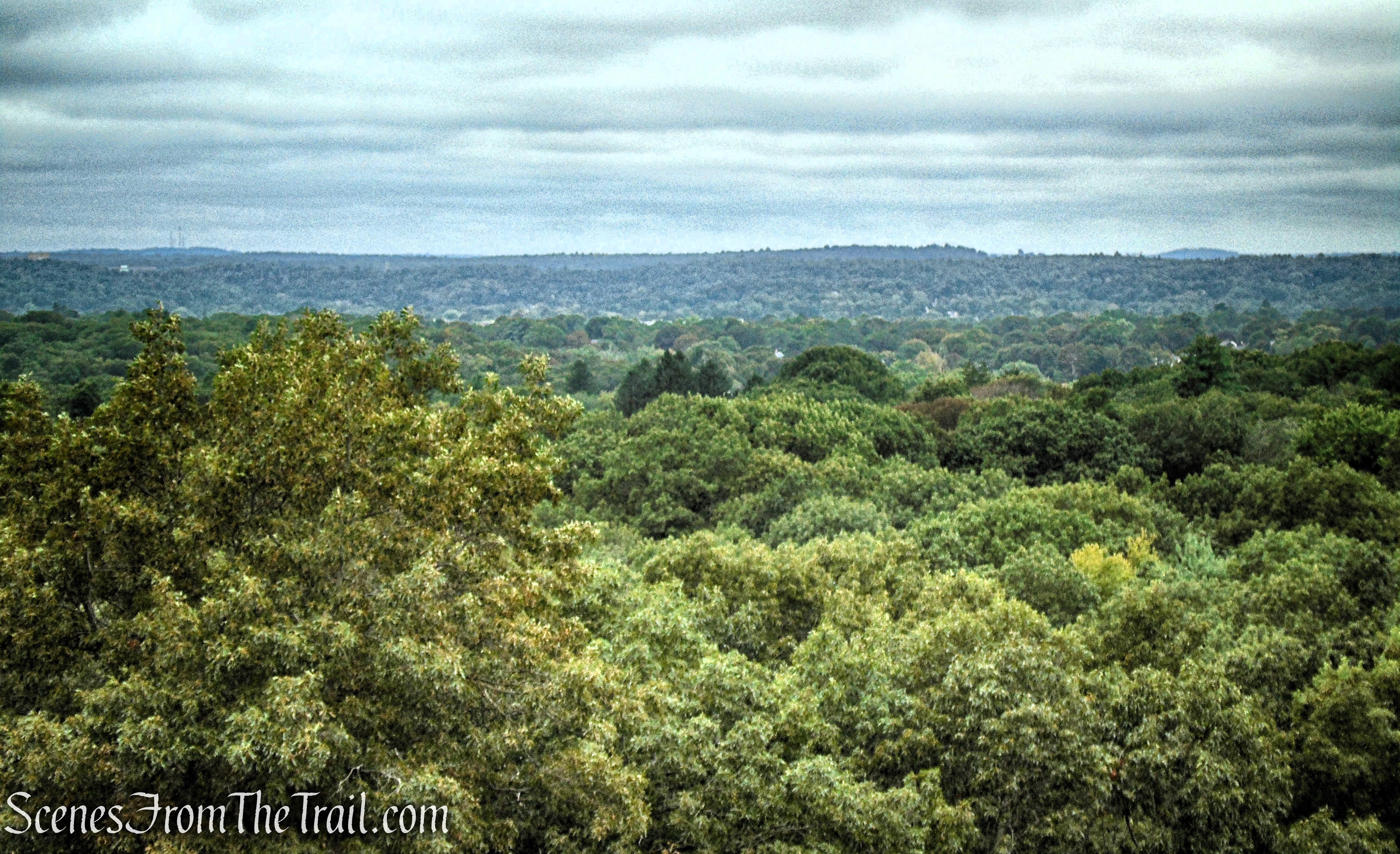 View northwest from Slayton Memorial Tower
