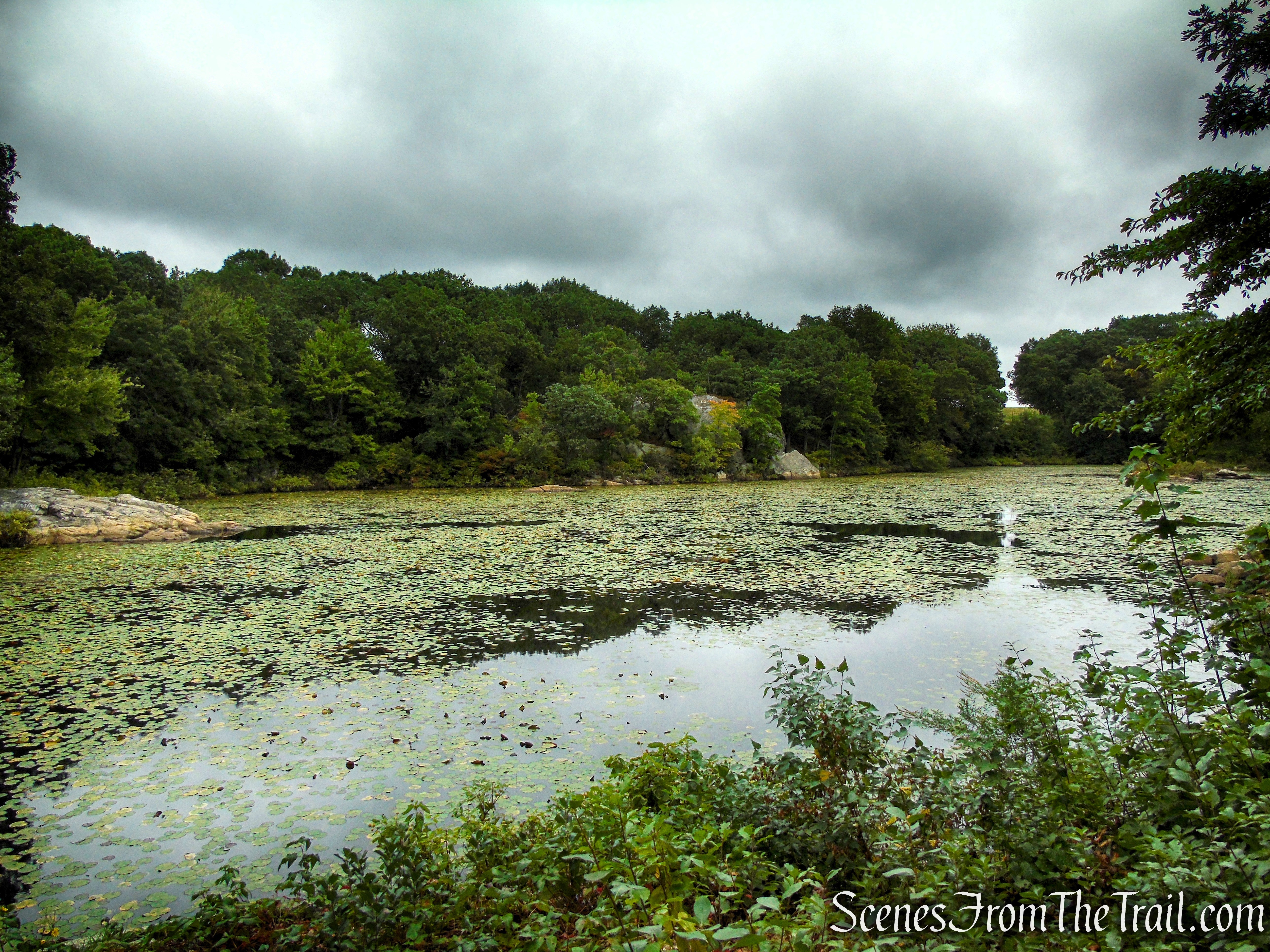 Third Pond – Mount Hood Memorial Park & Golf Course