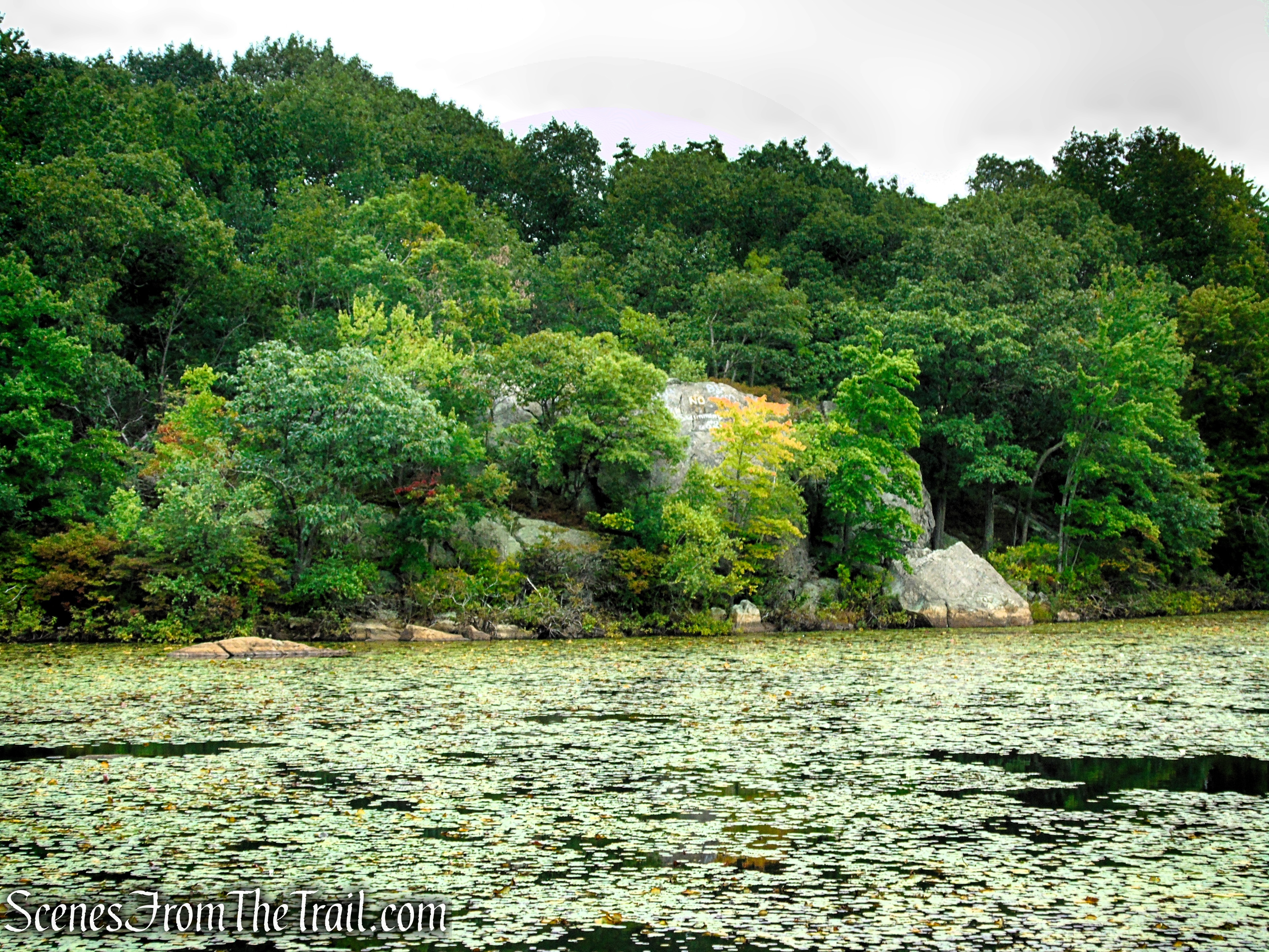 Third Pond - Mount Hood Memorial Park & Golf Course