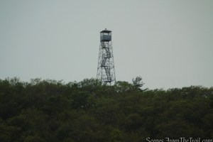 Stissing Mountain Fire Tower as viewed from Thompson Pond Preserve
