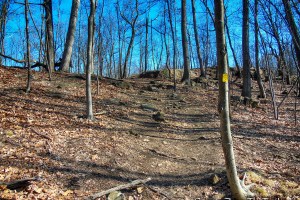 Yellow Trail Loop - Rifle Camp Park