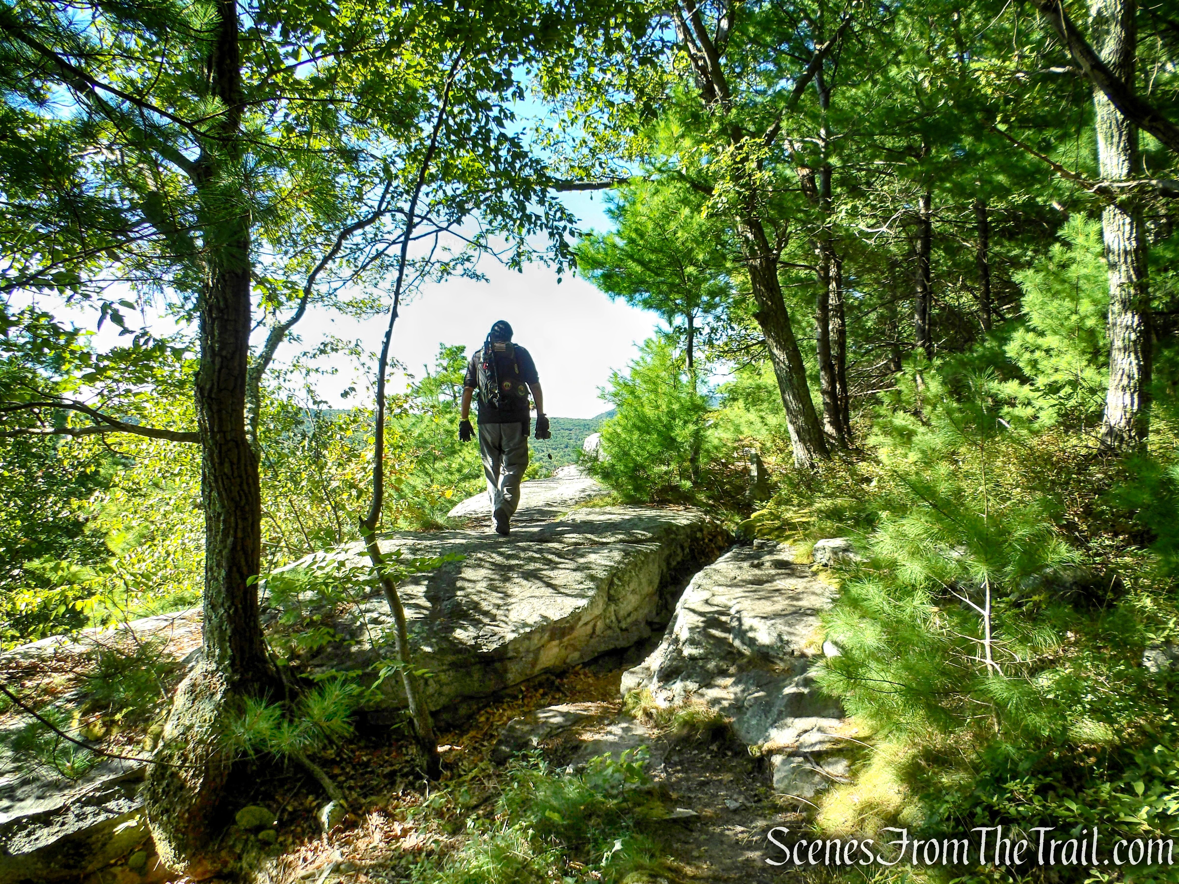 Lost City Loop – Mohonk Preserve