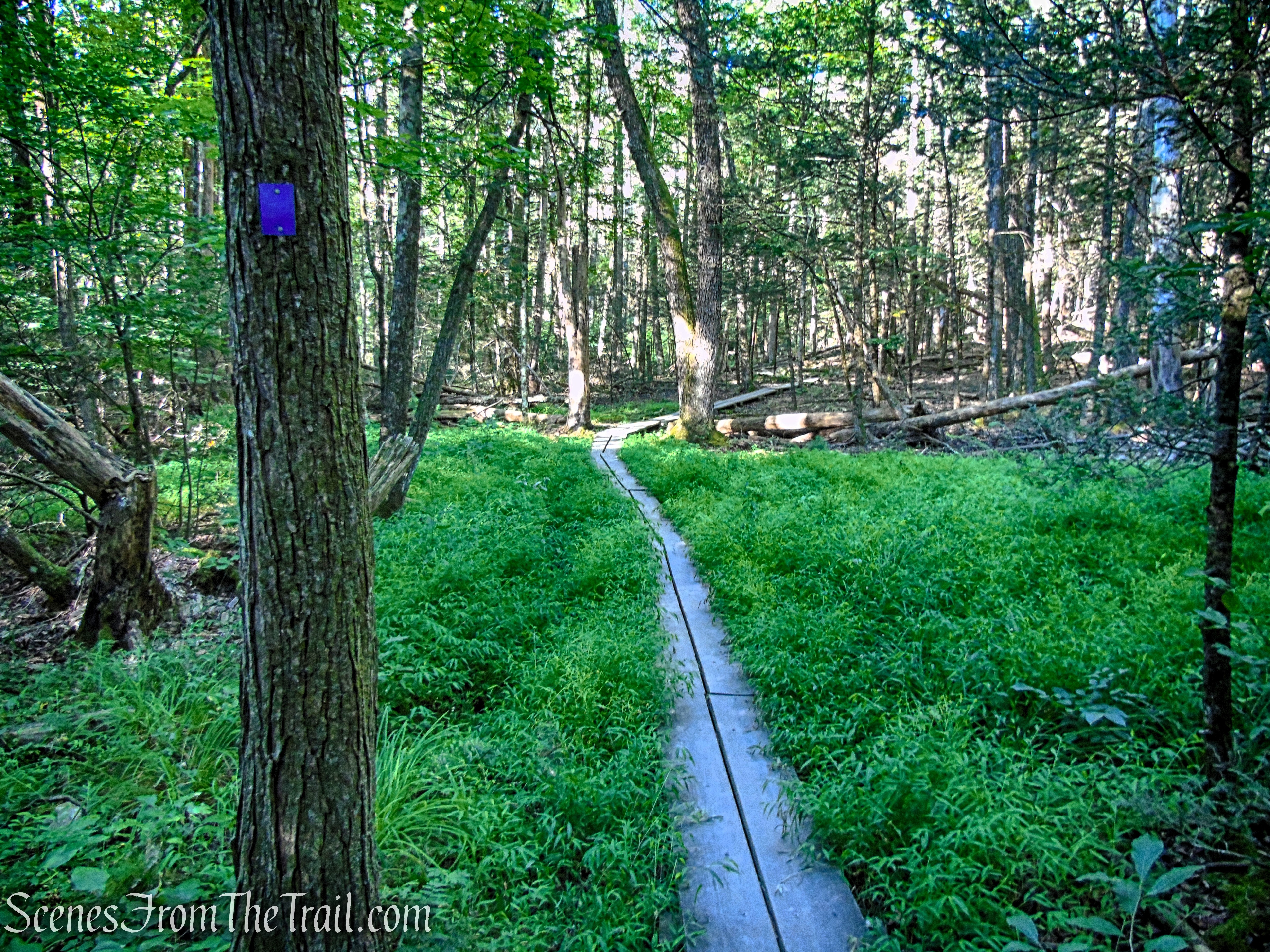 High Peters Kill Trail - Mohonk Preserve