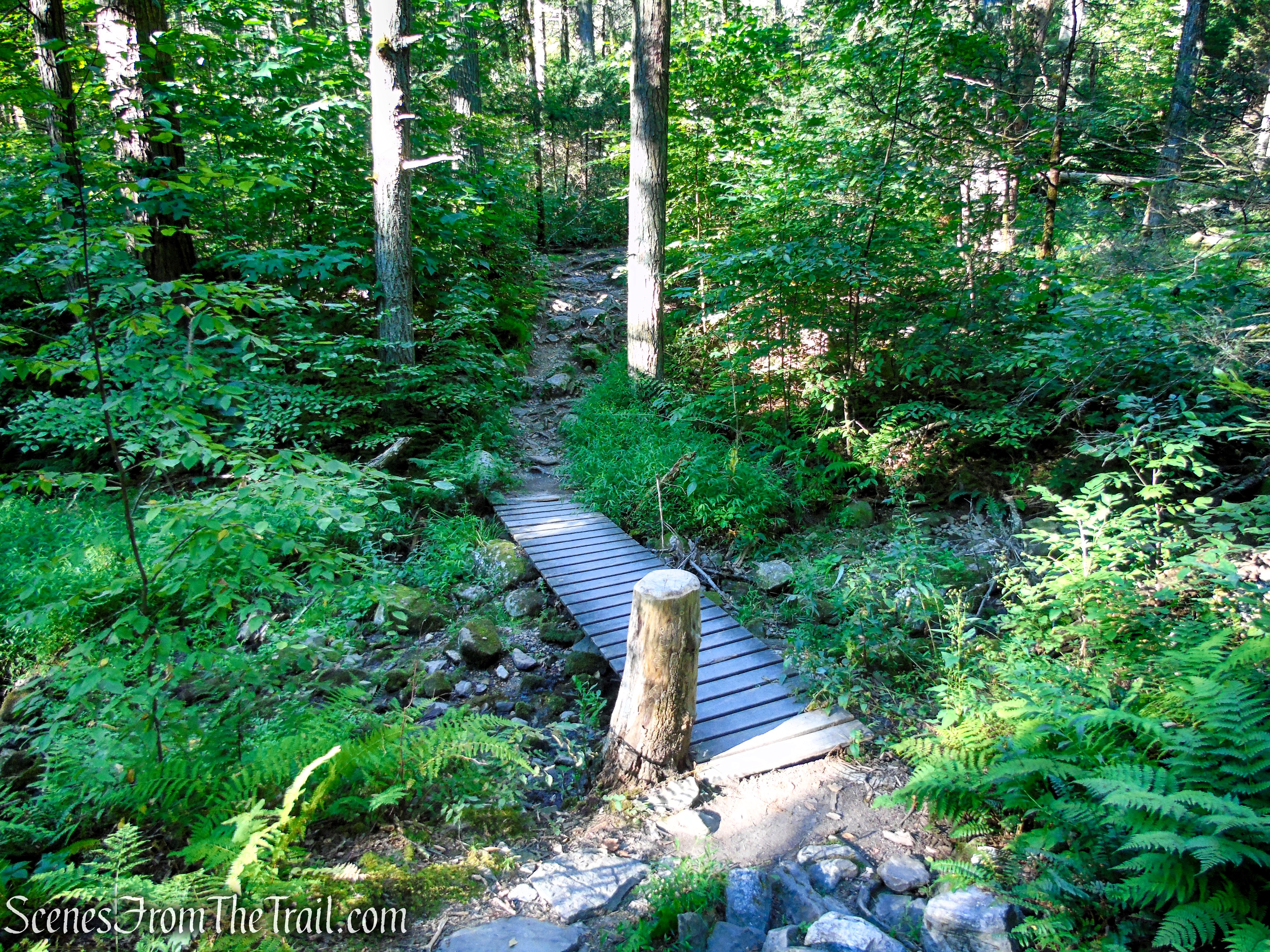 High Peters Kill Trail - Mohonk Preserve
