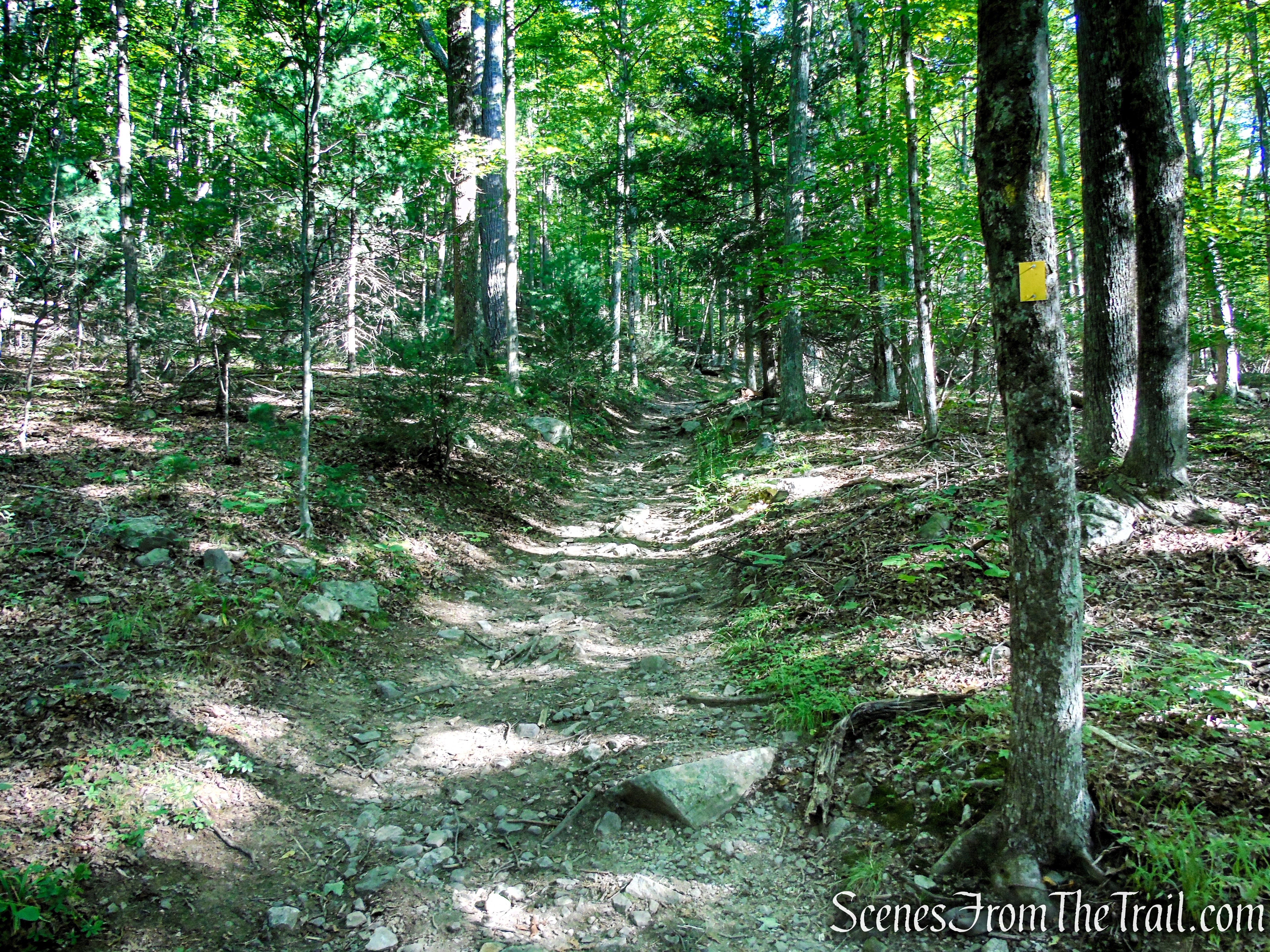 King’s Lane - Mohonk Preserve