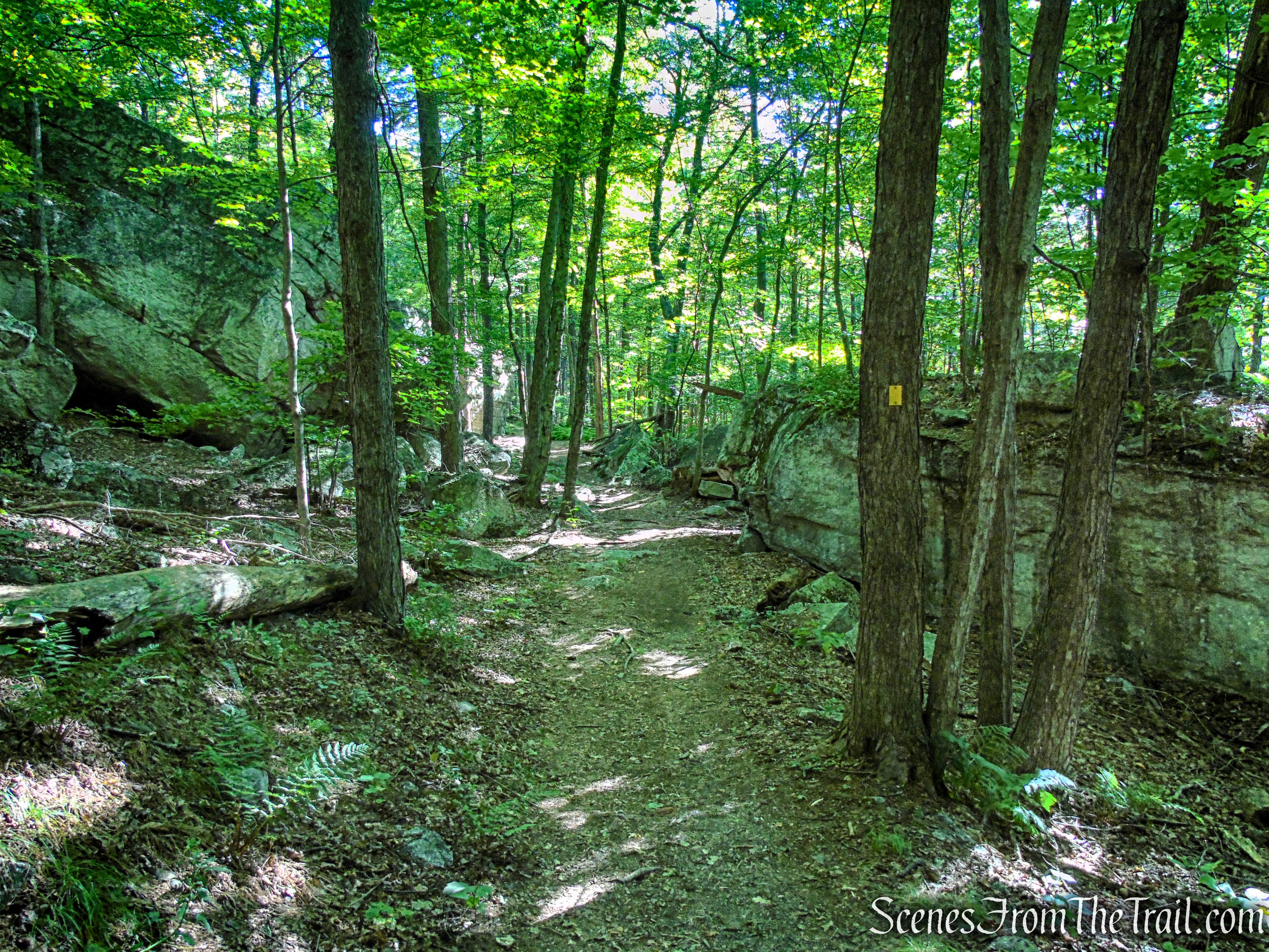 King’s Lane - Mohonk Preserve