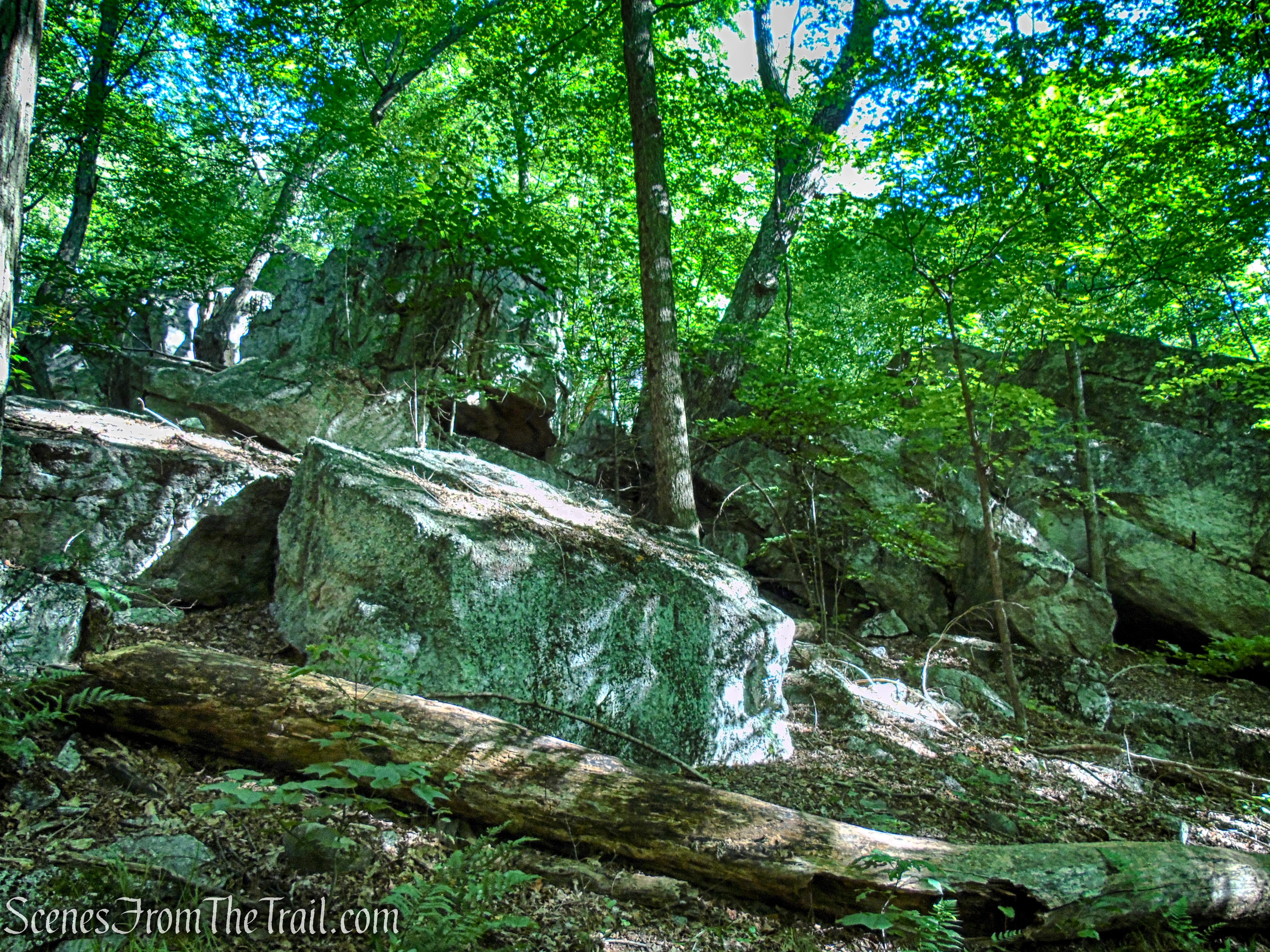 King’s Lane - Mohonk Preserve